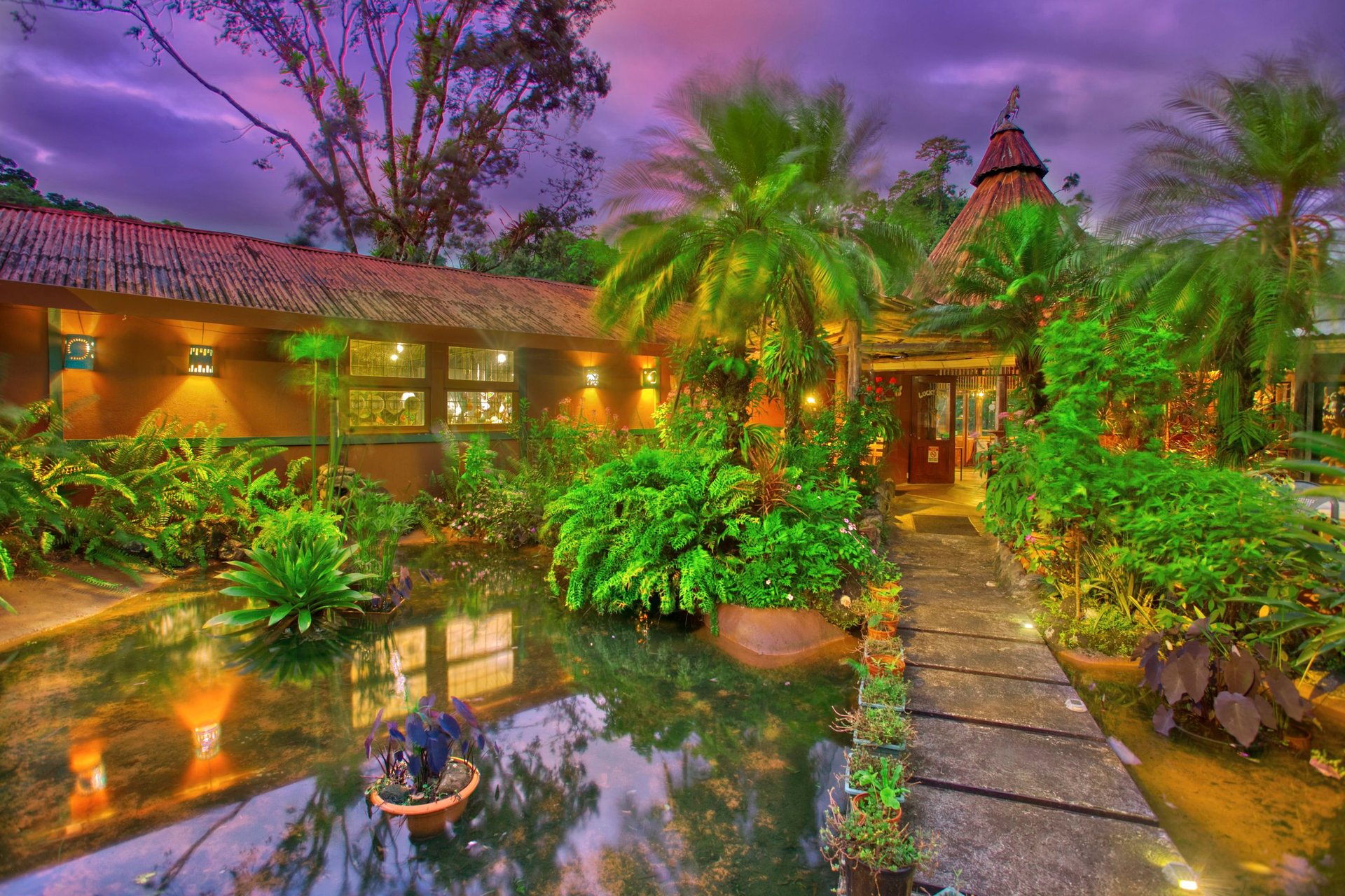The Lucky Bug | Boutique Hotel & Investment Opportunity in Nuevo Arenal