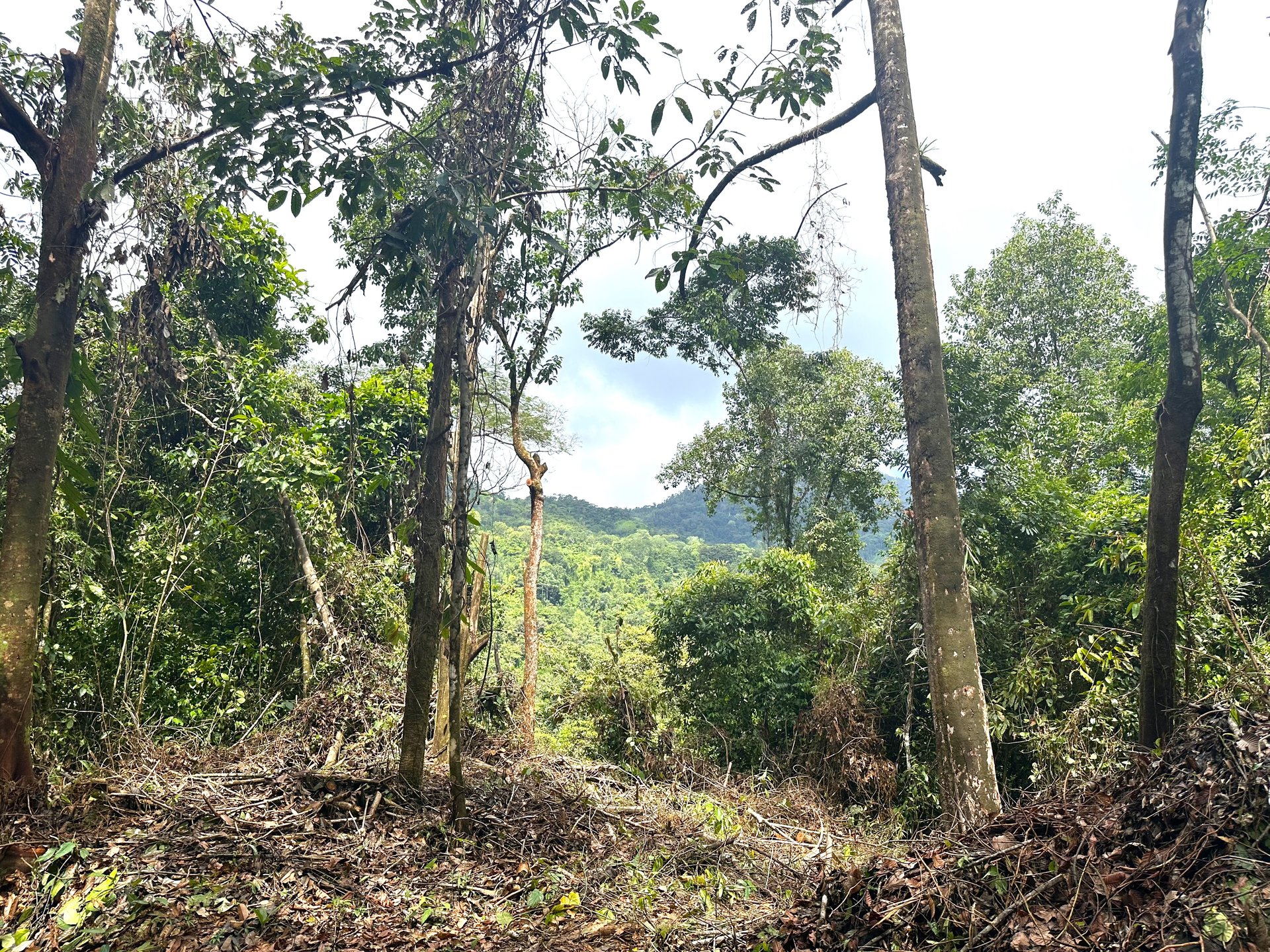 Mountain View Building Lot in Prestigious Gated Community With Private Waterfall & Two Building Sites