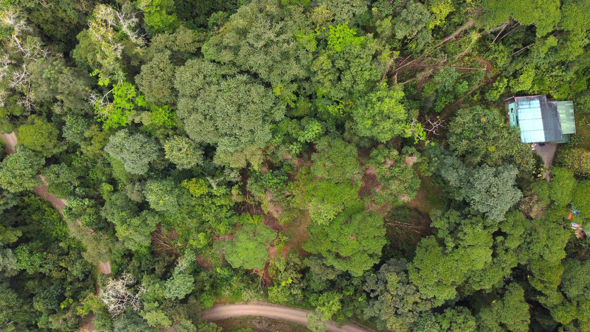 Mountain View Building Lot in Prestigious Gated Community With Private Waterfall & Two Building Sites
