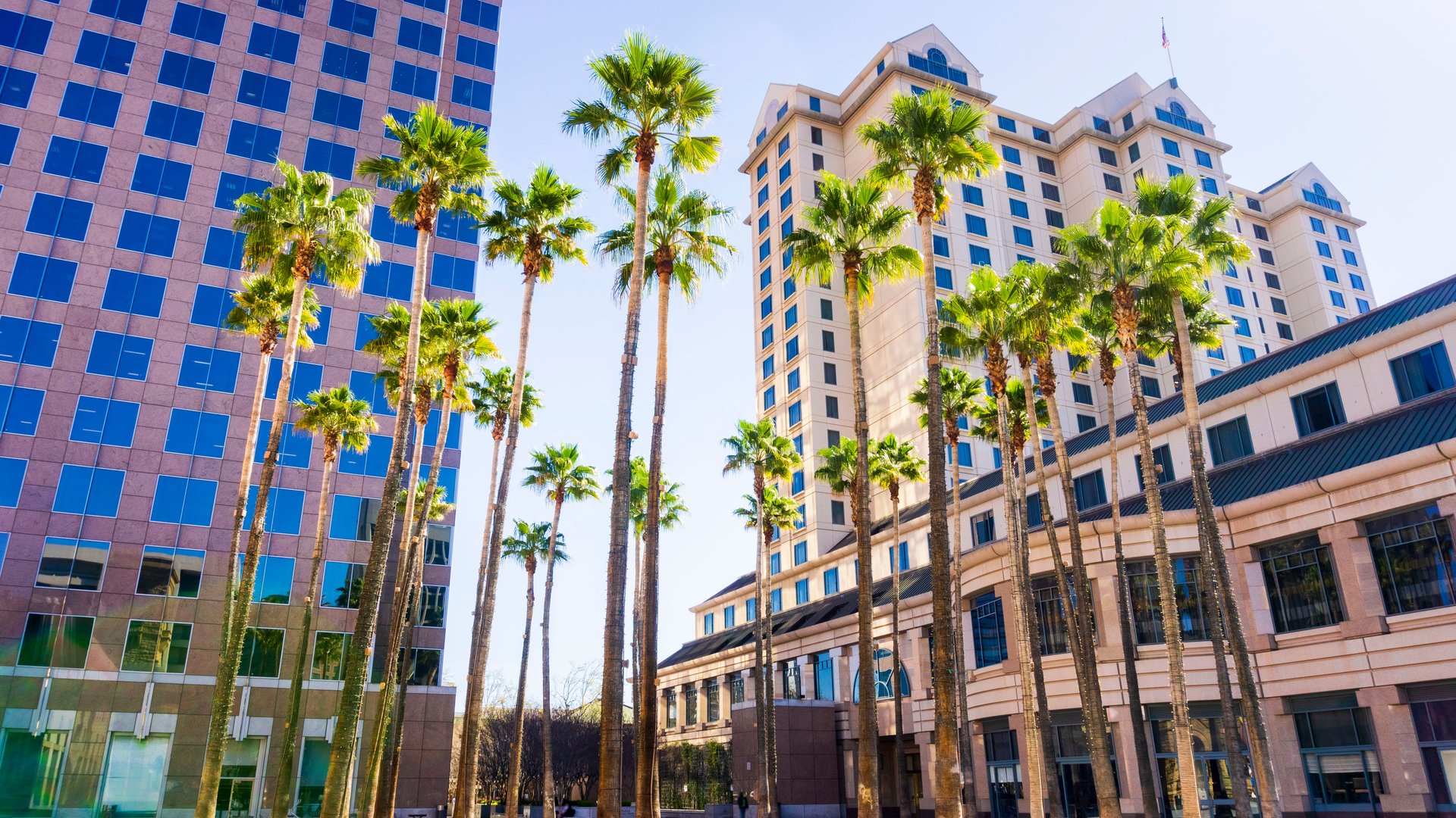 Trust Your Instincts: How to Spot a Truly Trustworthy Realtor for Your San Jose, Silver Creek & Evergreen Assets