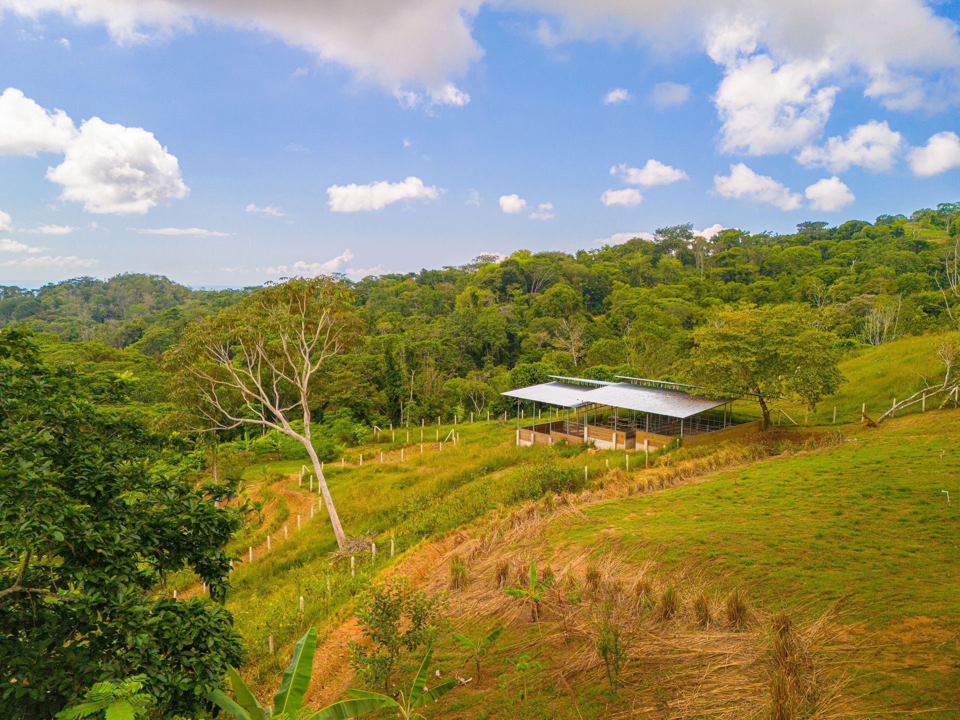 Oceanview Homestead in Tres Rios