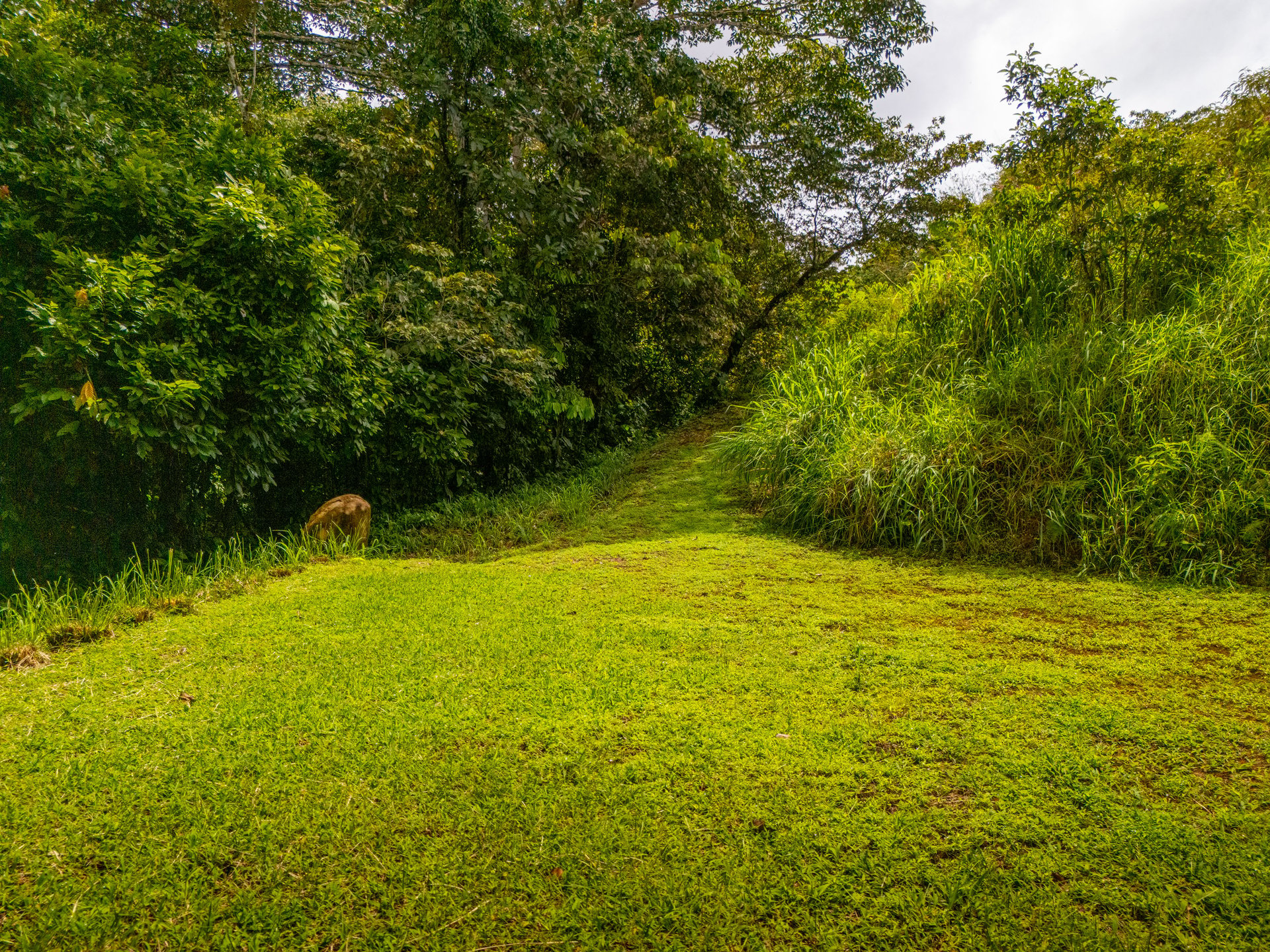 Plant Your Roots at Tierra Bendita! 2.5 Acres, River Frontage, 2 Bedroom Home, Private, Easy Access!