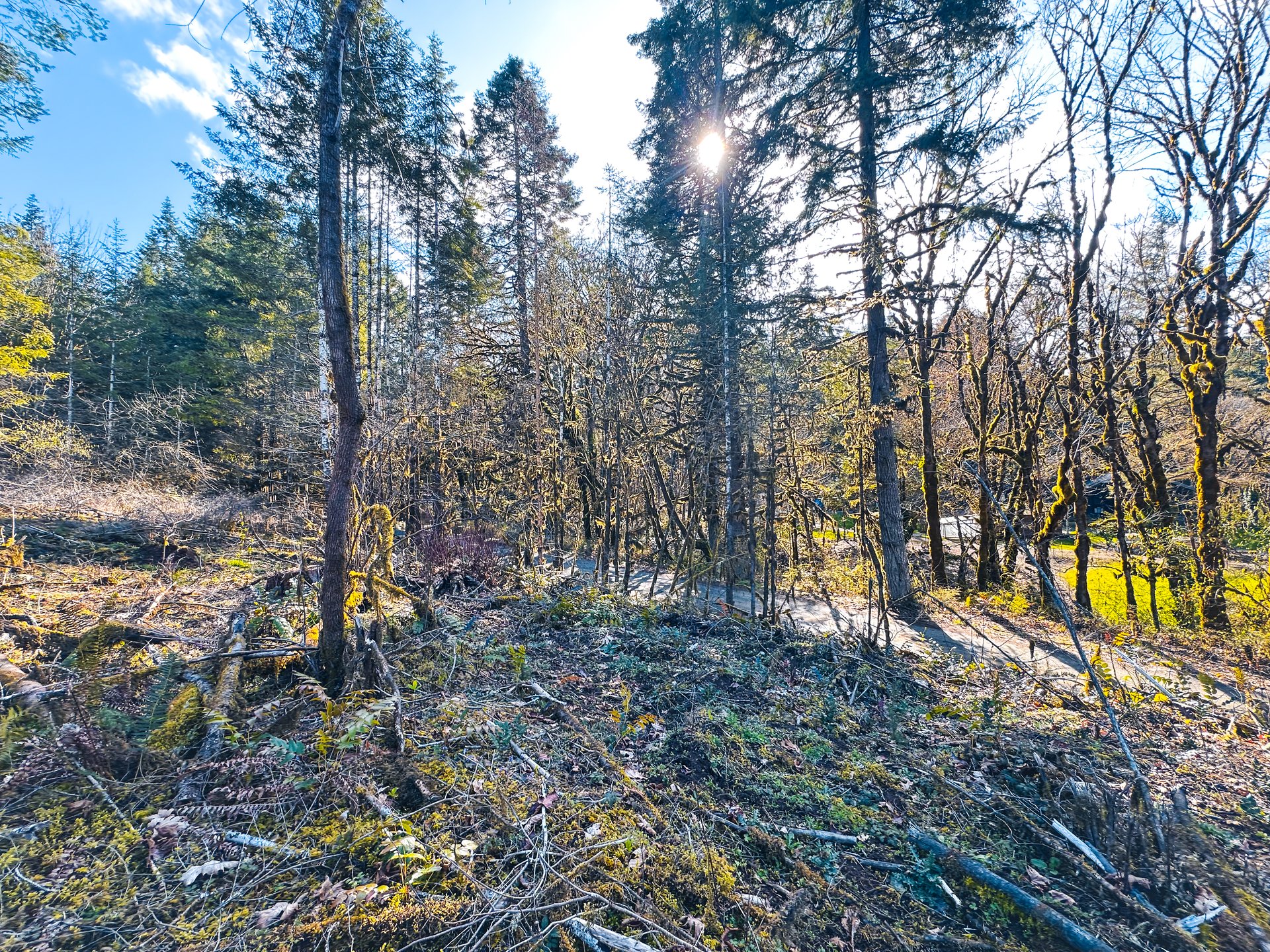 Sharewater Homesite