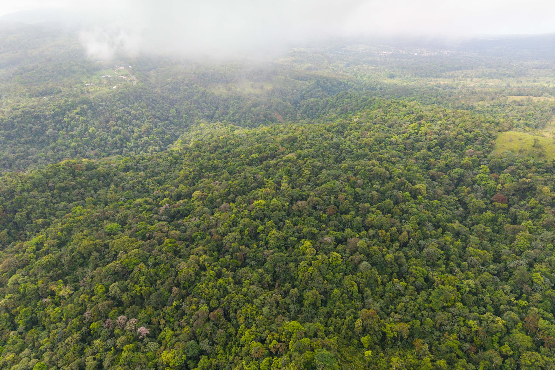 Finca Gran Bijagua | Breathtaking 10-Hectare Mountain Sanctuary in Bijagua, Costa Rica