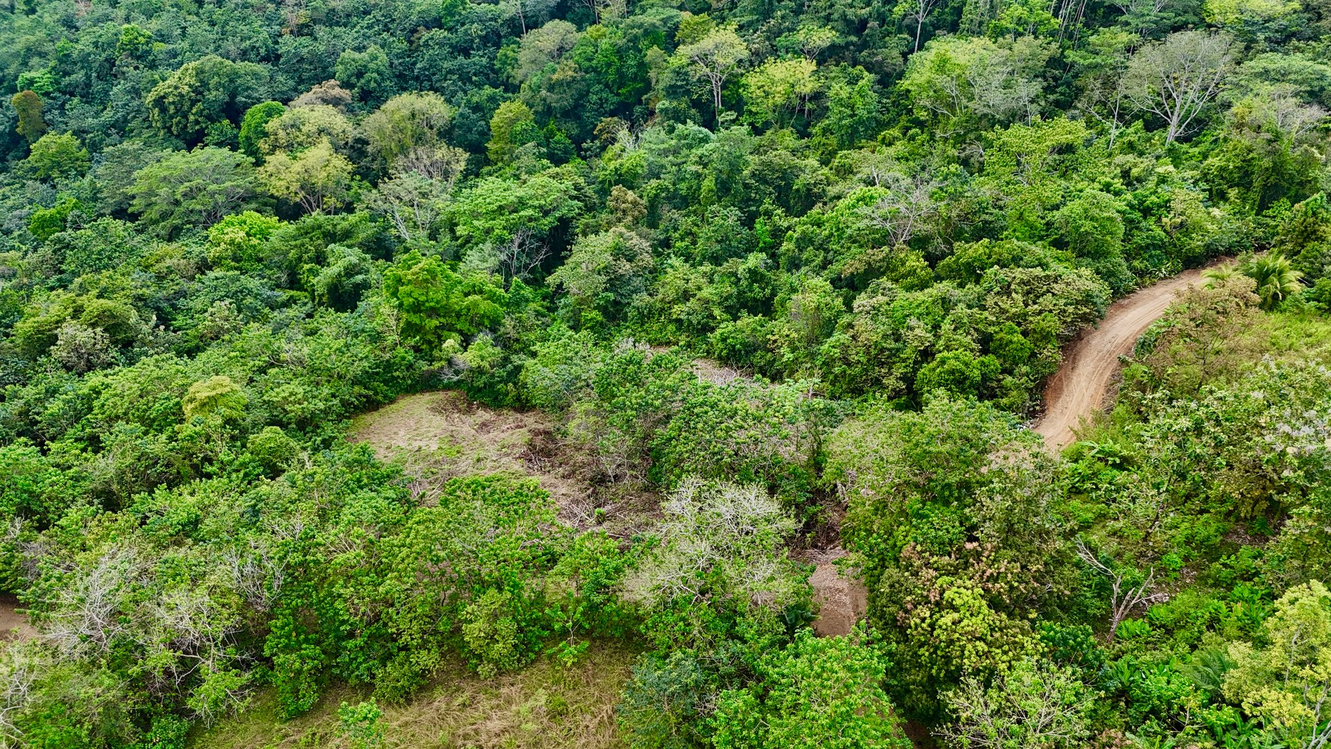 Price Reduced! Ocean View Lots in San Buenas – Just $70K Each