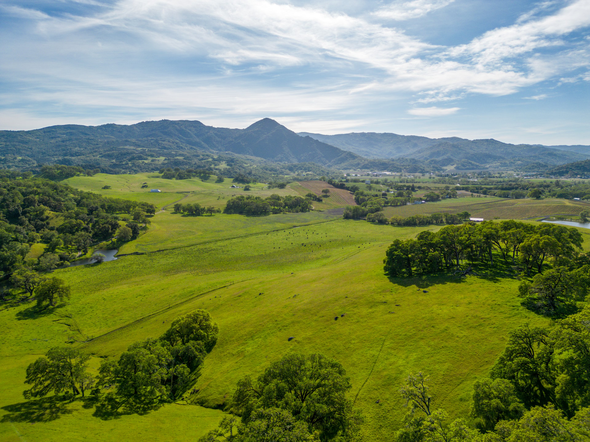 The Hopland Hills Ranch