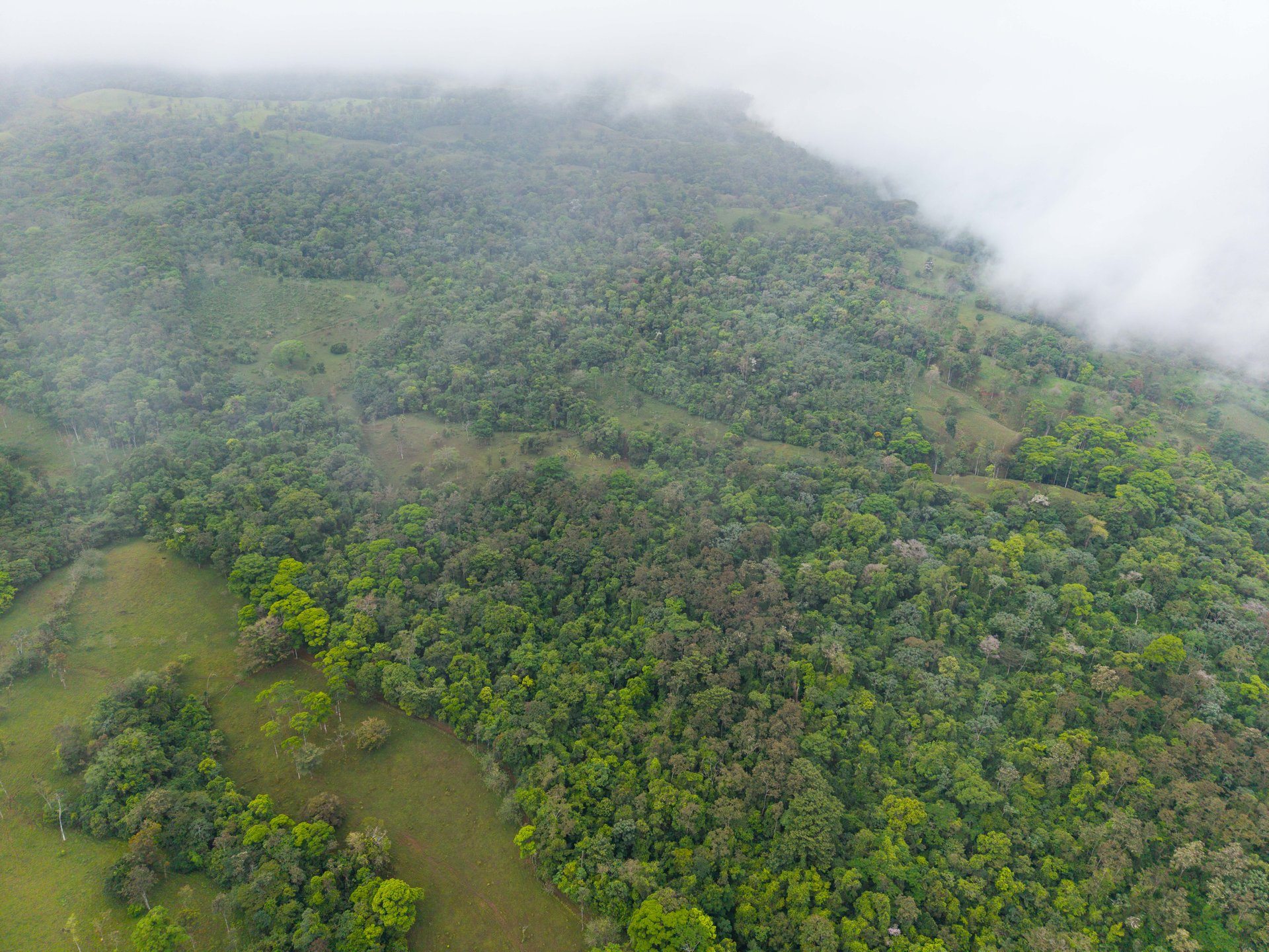 Finca Las Zompopas-Río Celeste | 113-Acre Biodiverse Property in Bijagua, Ideal for Eco-Tourism, Private Retreats, or Sustainable Development