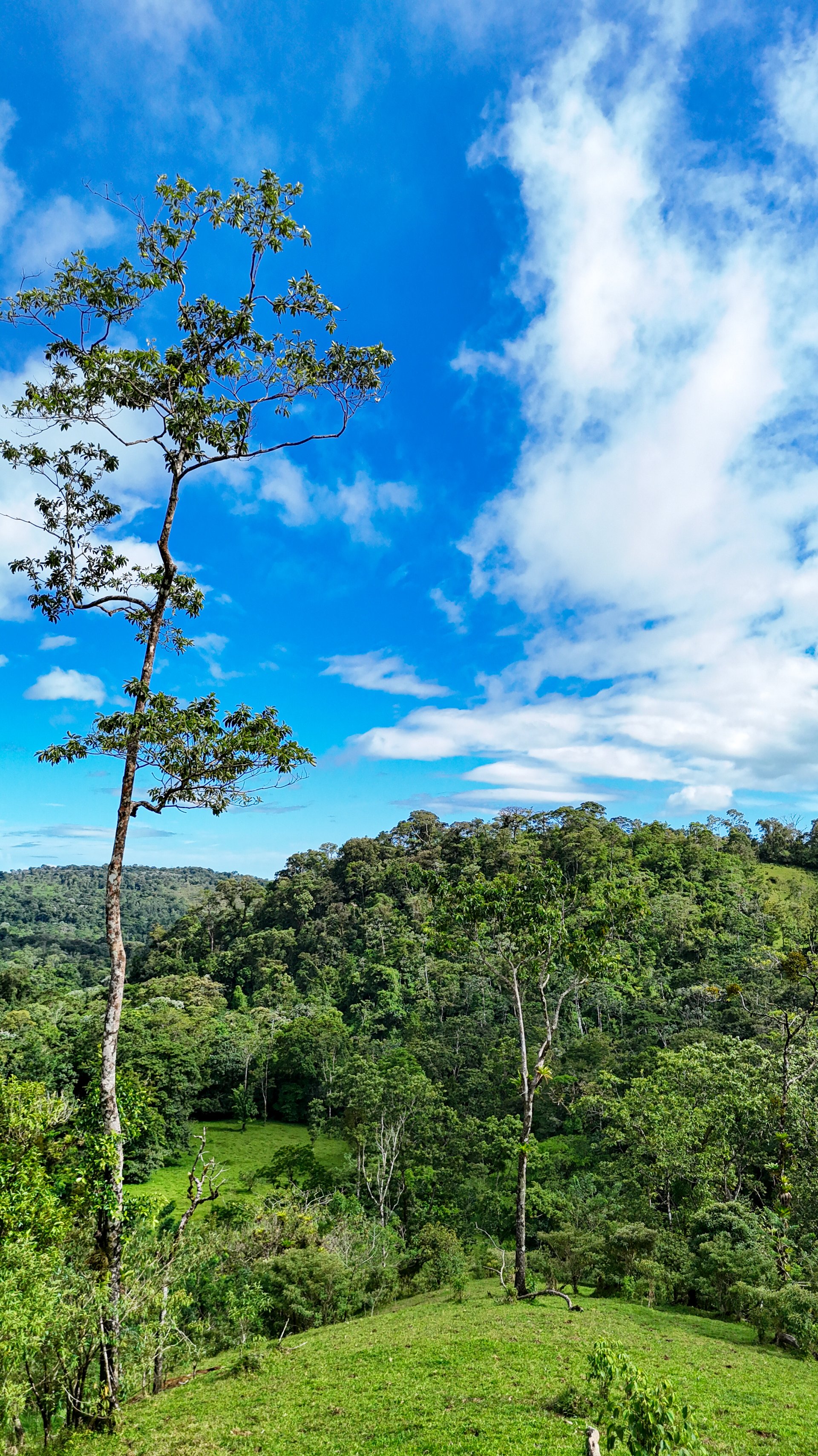 Finca Altamira | Boasting breathtaking panoramic views of the majestic Miravalles Volcano!