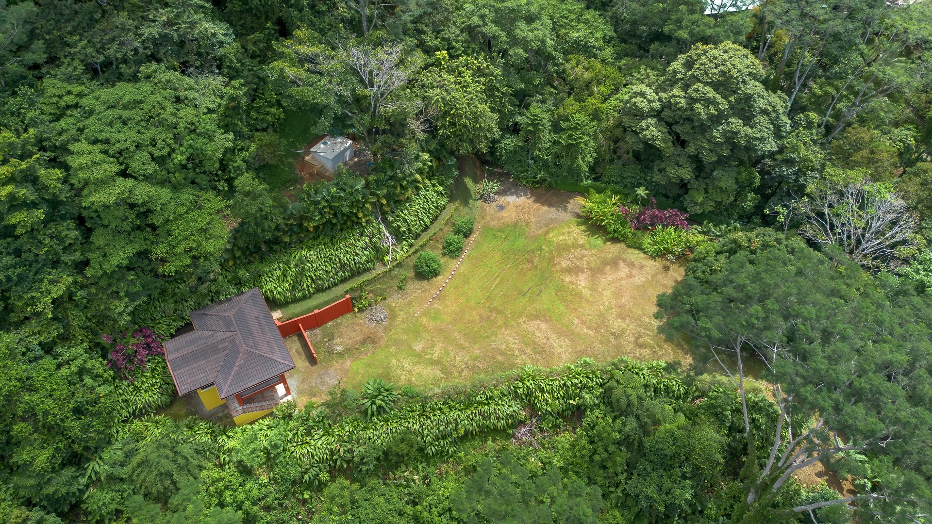 Build-Ready Ocean View Land with Guest House & Fruit Orchard | Tres Rios, Costa Rica