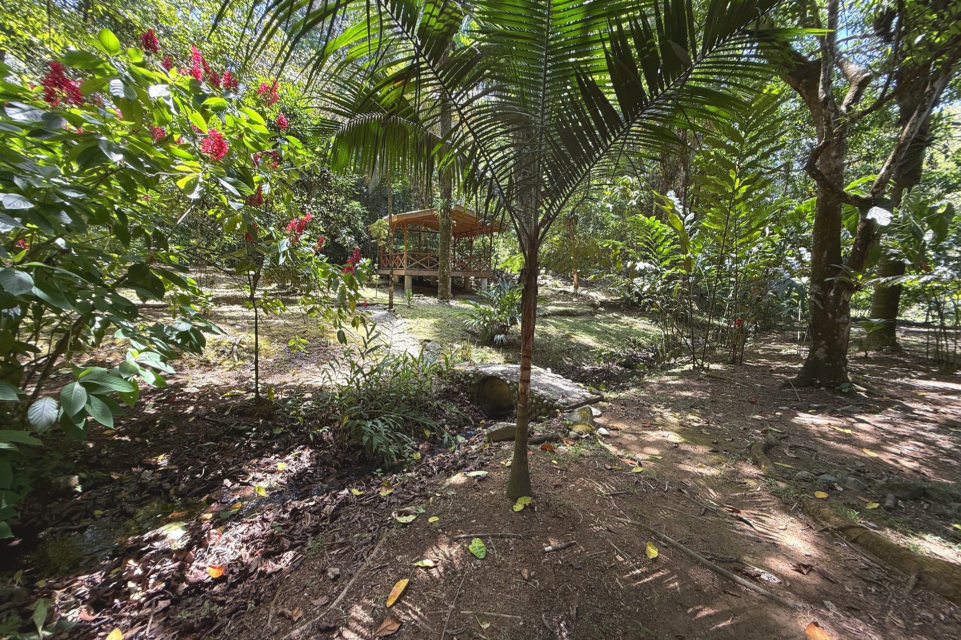  Gorgeous Jungle Hotel with 11 Beds including Owner/Manager Unit, Sparkling Pool & River Setting in Ojochal Costa Rica
