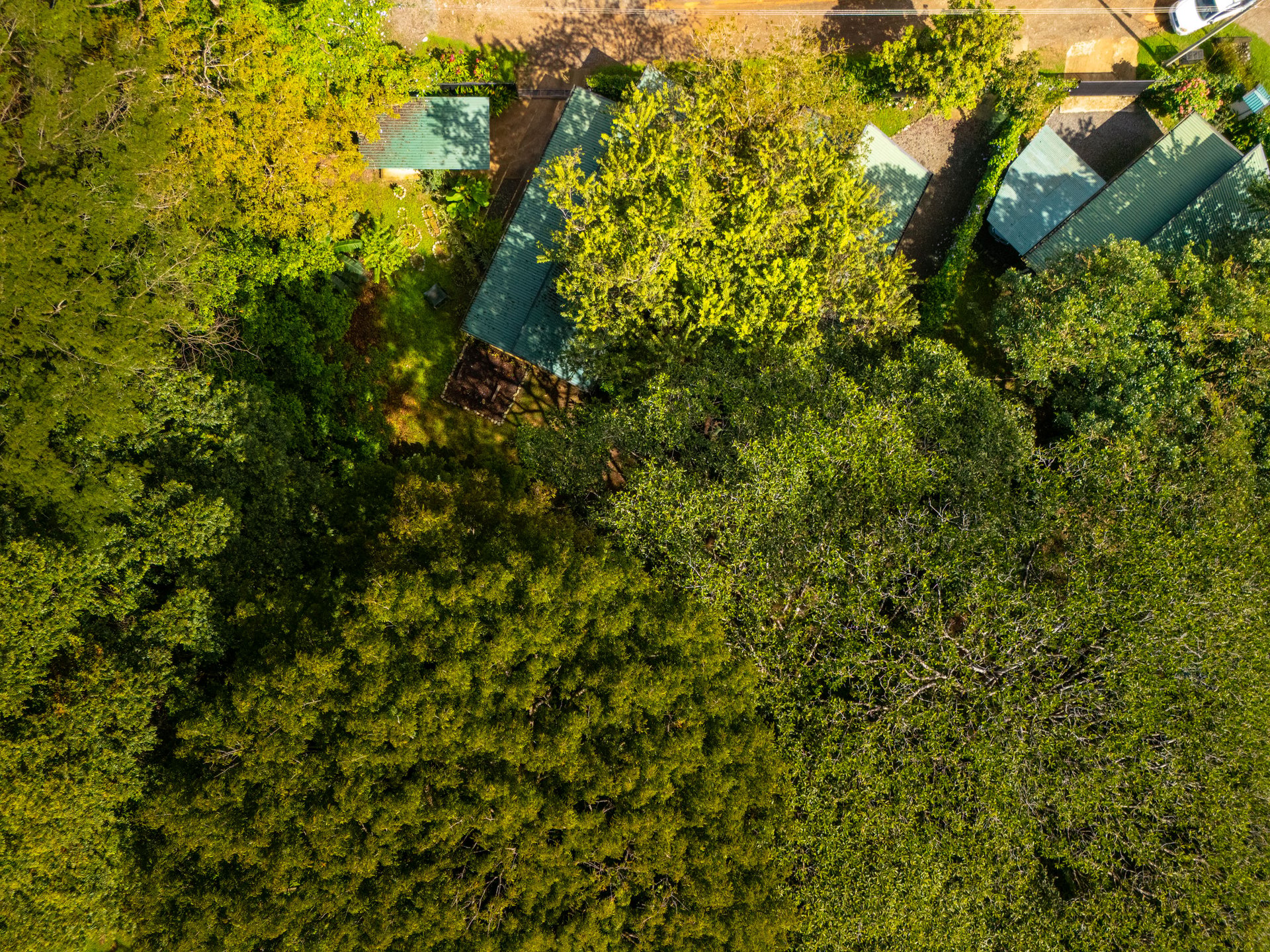 Turnkey Property with 3 Income-Generating Homes in an Exceptional Uvita Location