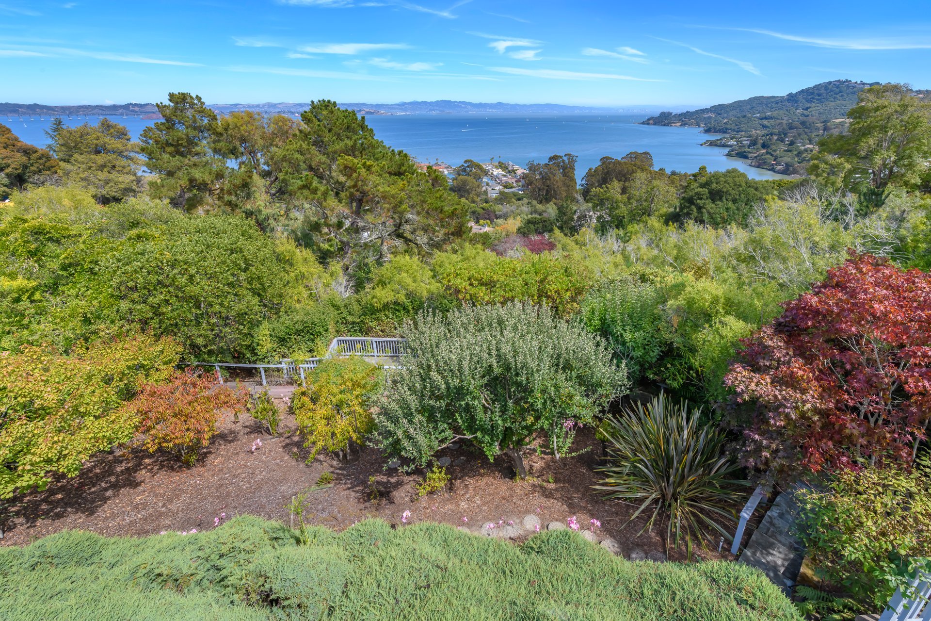 Tiburon Legacy Estate with Unparalleled Views and a Rare Connection to Nature