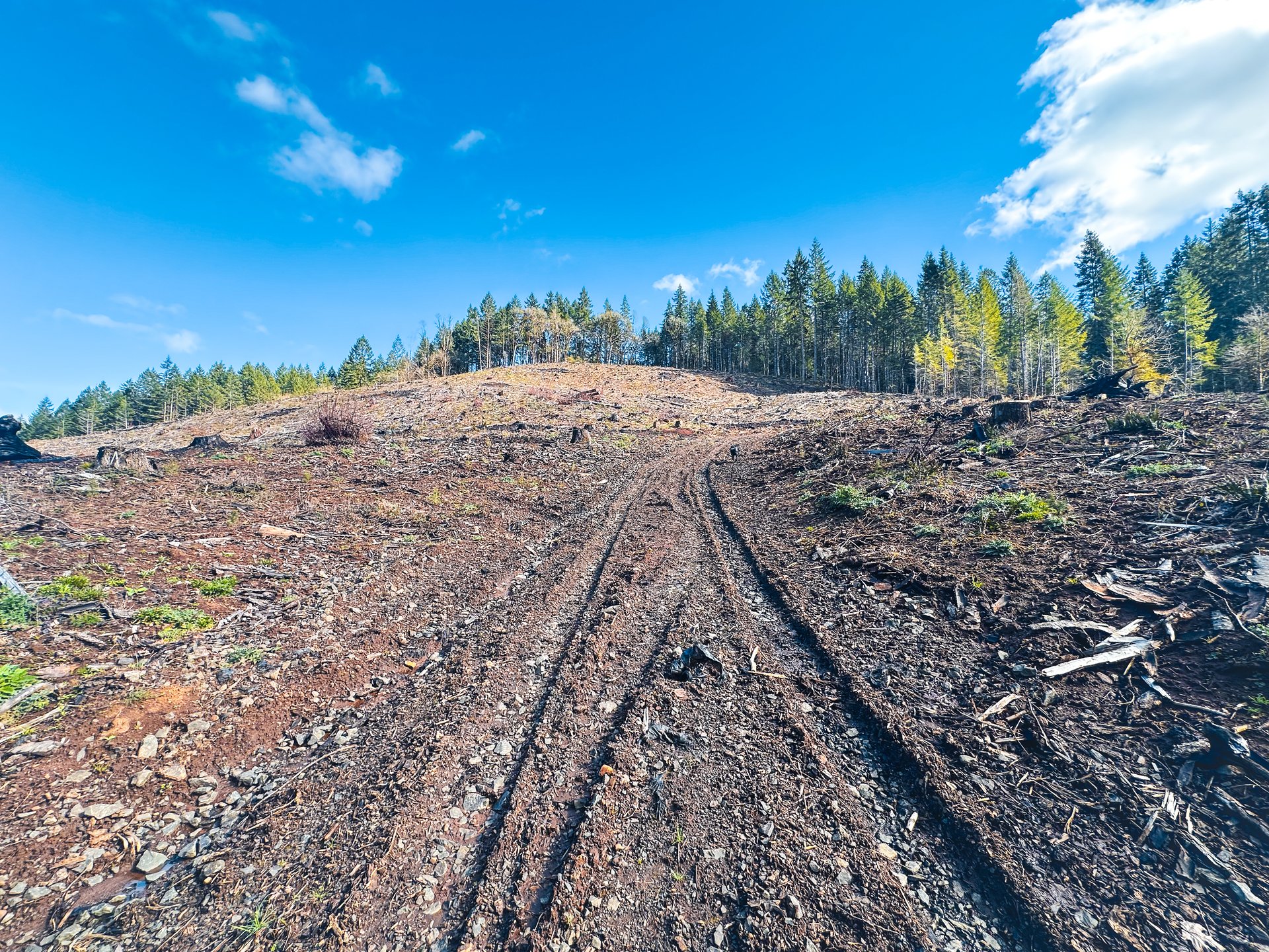 Sharewater Homesite