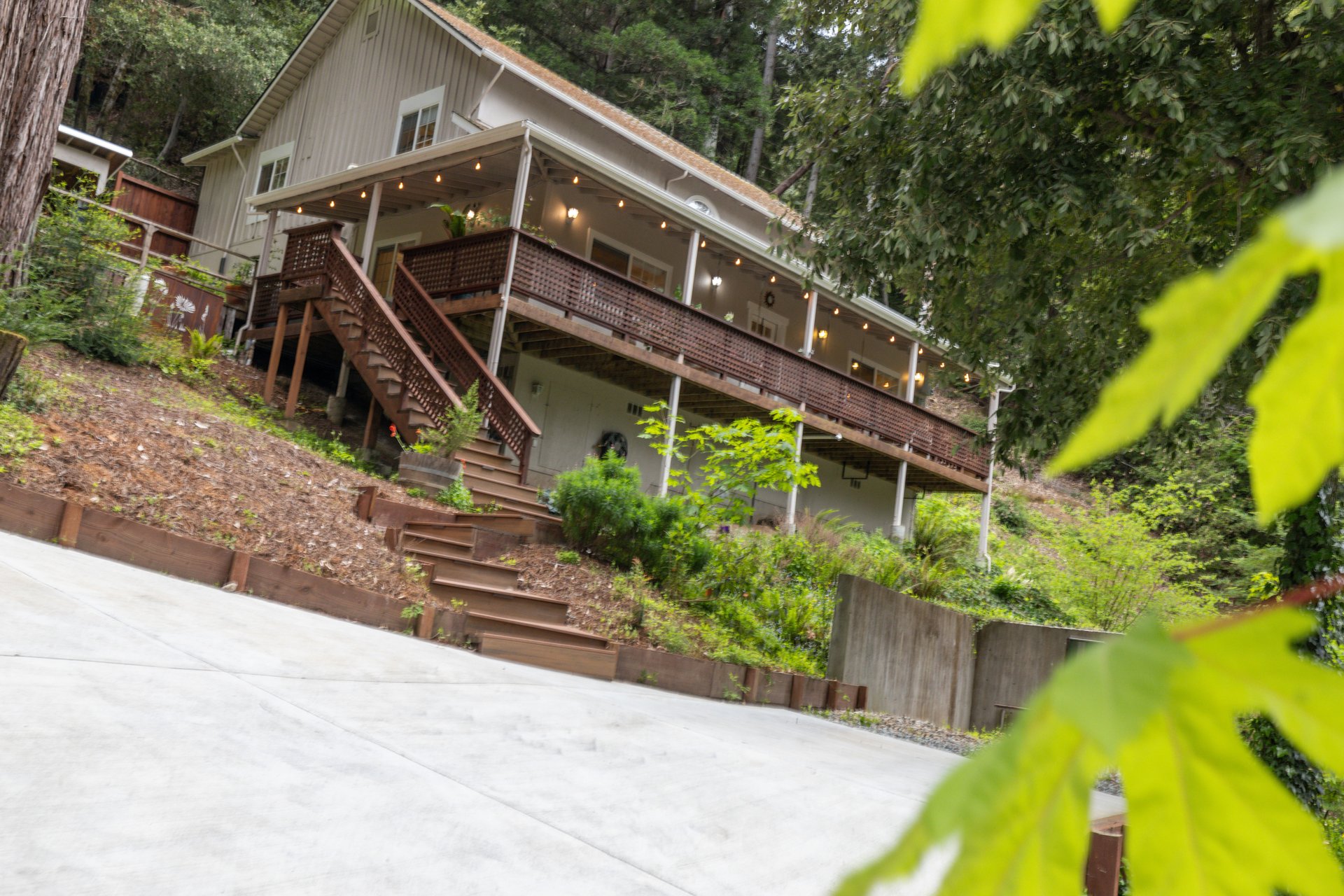 11691 Alta Via