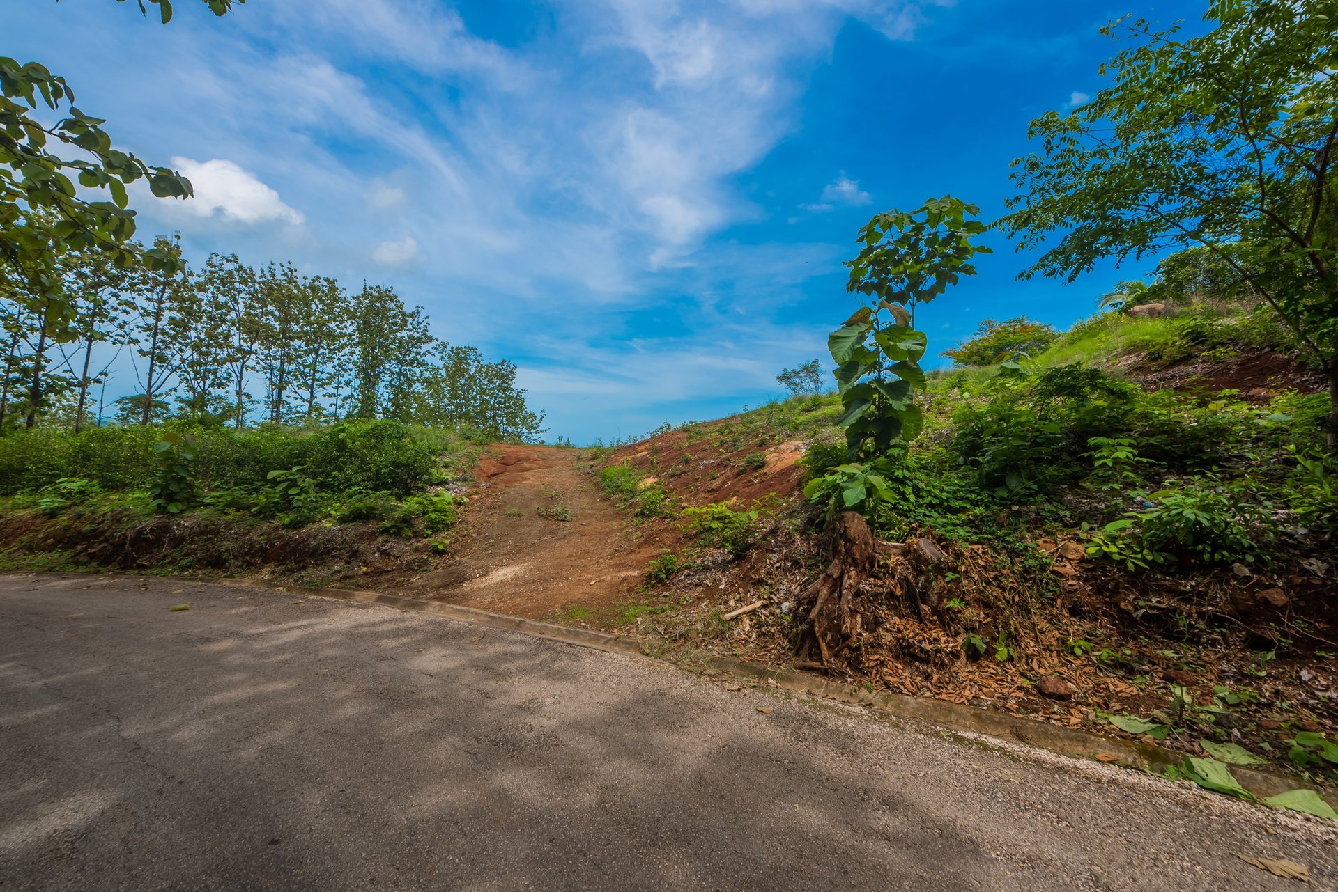 Lot 81, Rancho Villareal