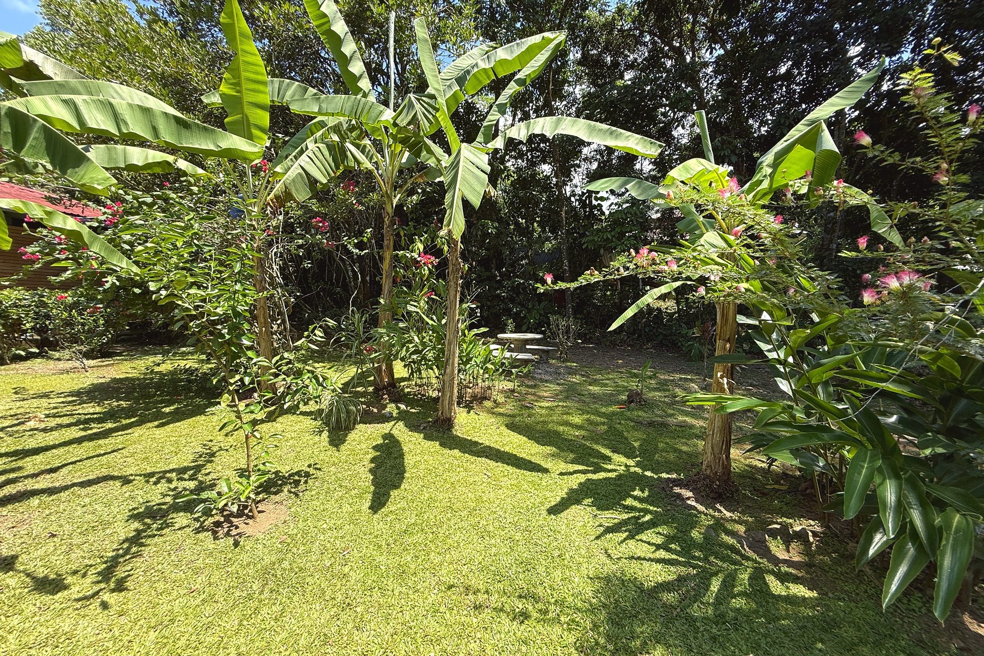  Gorgeous Jungle Hotel with 11 Beds including Owner/Manager Unit, Sparkling Pool & River Setting in Ojochal Costa Rica