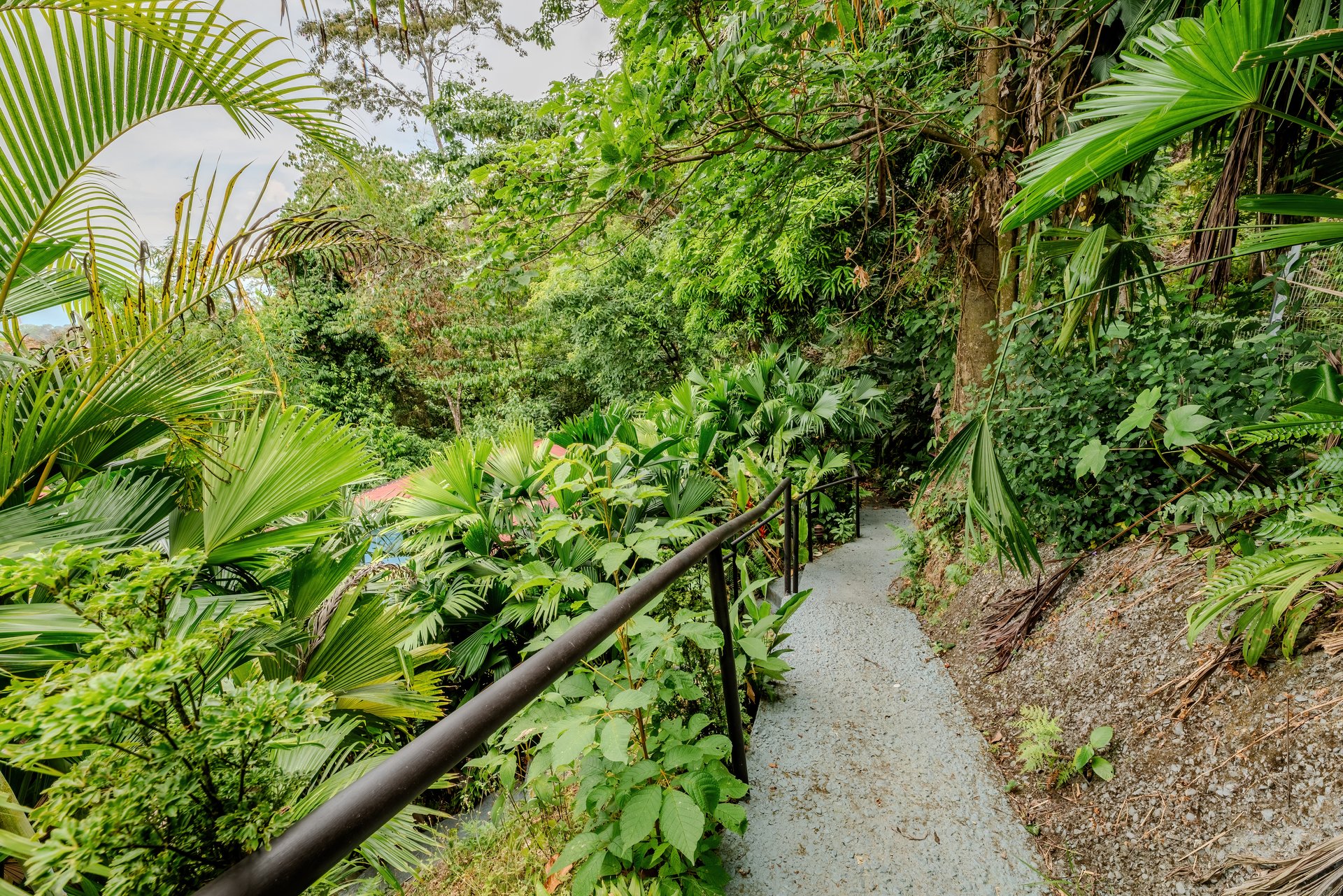 Villas In Sueño – A Rare Gem in the Heart of Manuel Antonio
