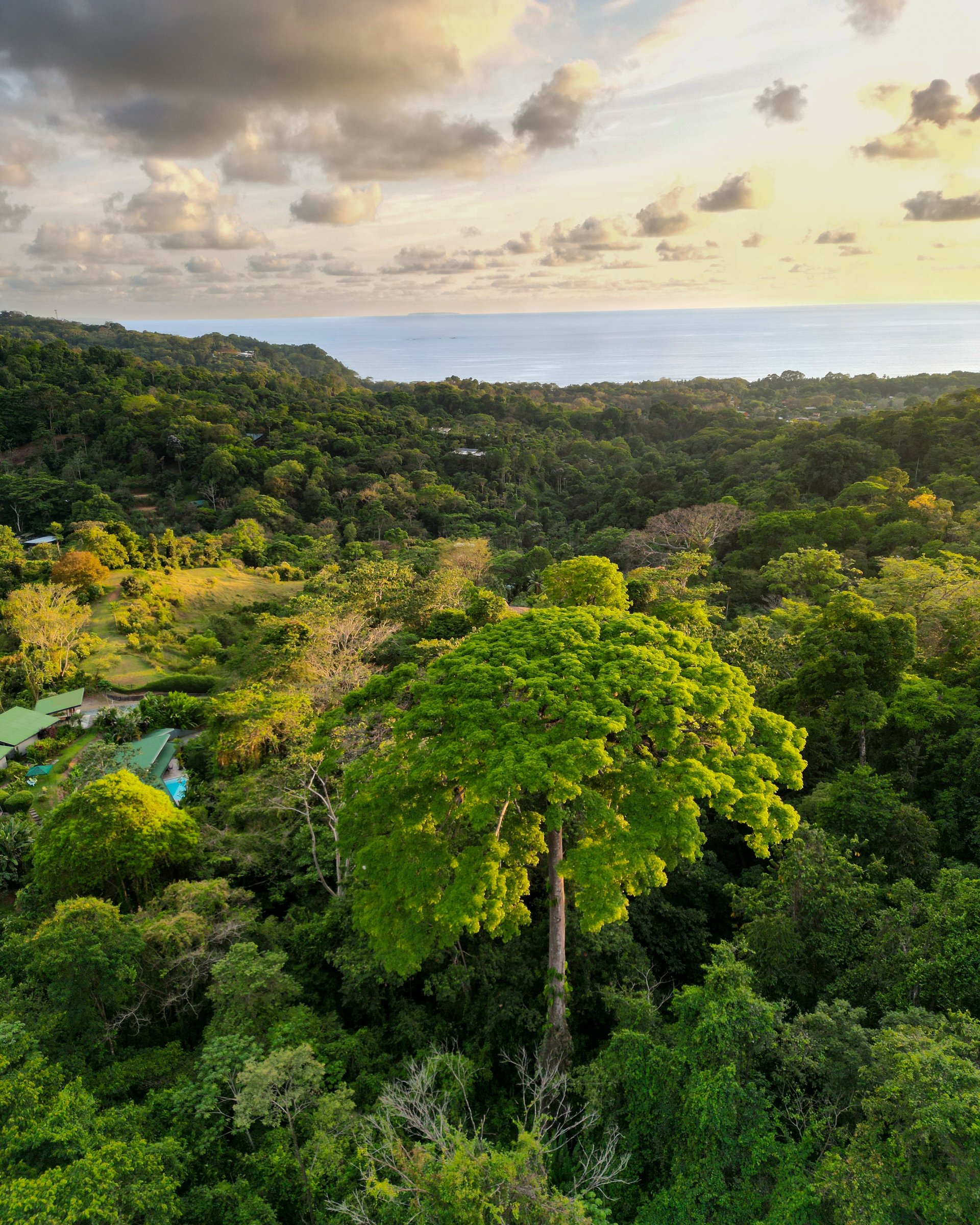 Build Your Vision in Uvita – 15.9 Ocean View Acres with Easy Access + Utilities Ready!