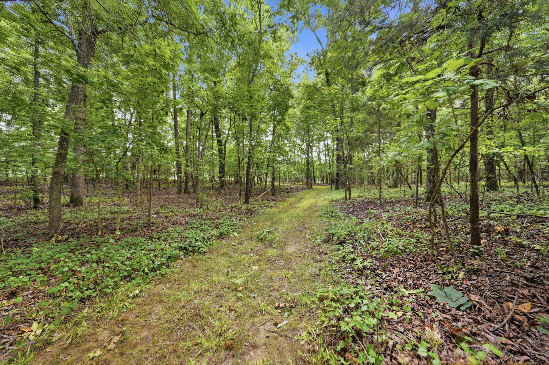 2545 N Rocky River Road