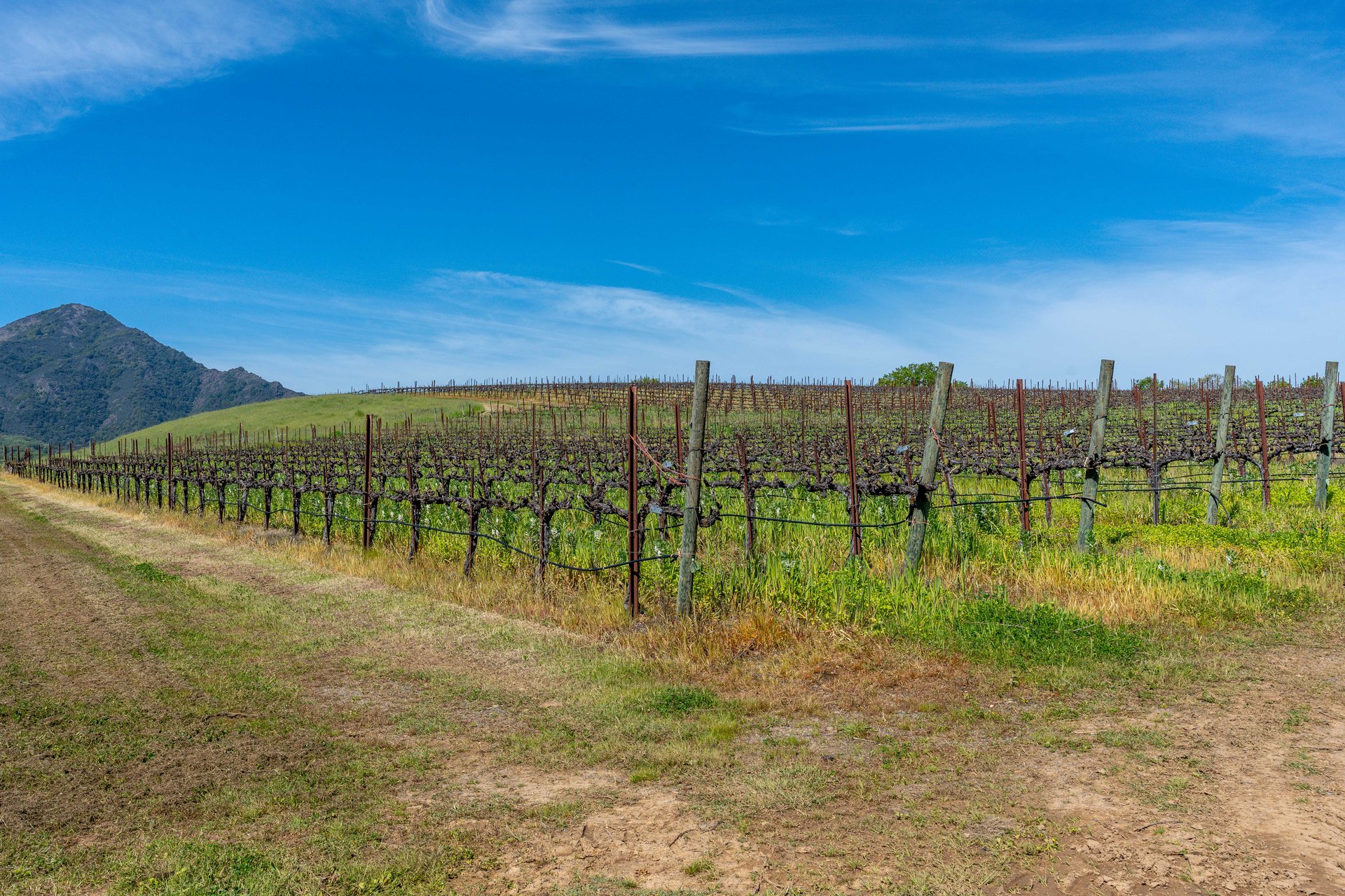The Hopland Hills Ranch