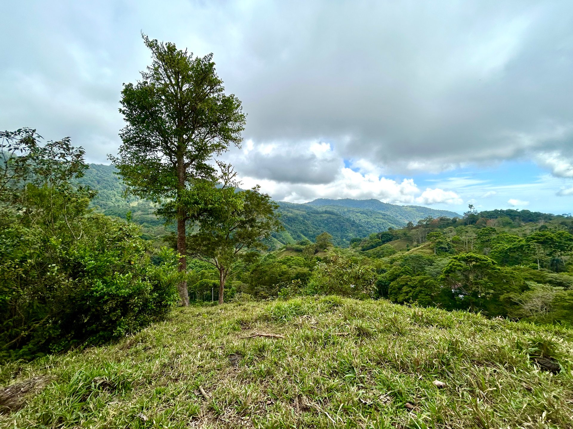Gorgeous Land in San Luis Morete - Uvita - Over 17 Acres