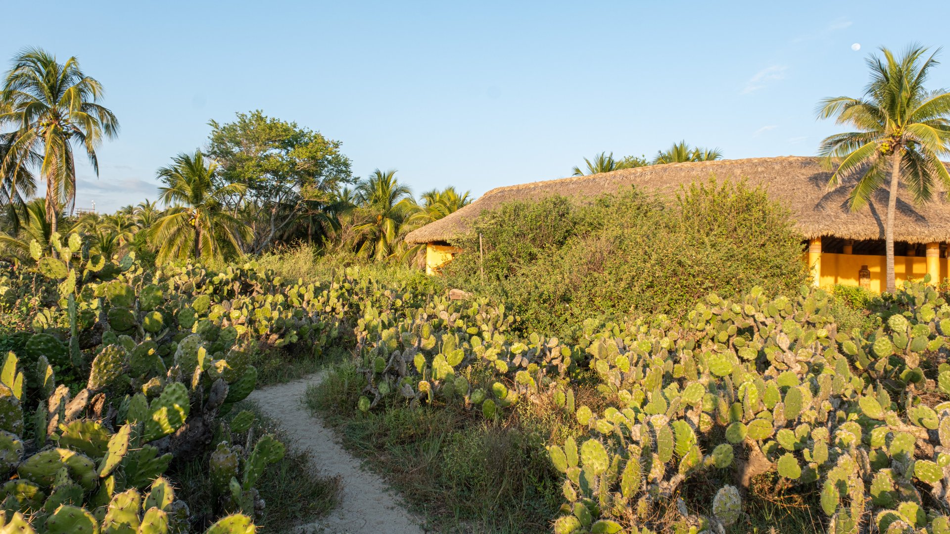 4 Bedroom, Single Family Home, Casa del Pacifico