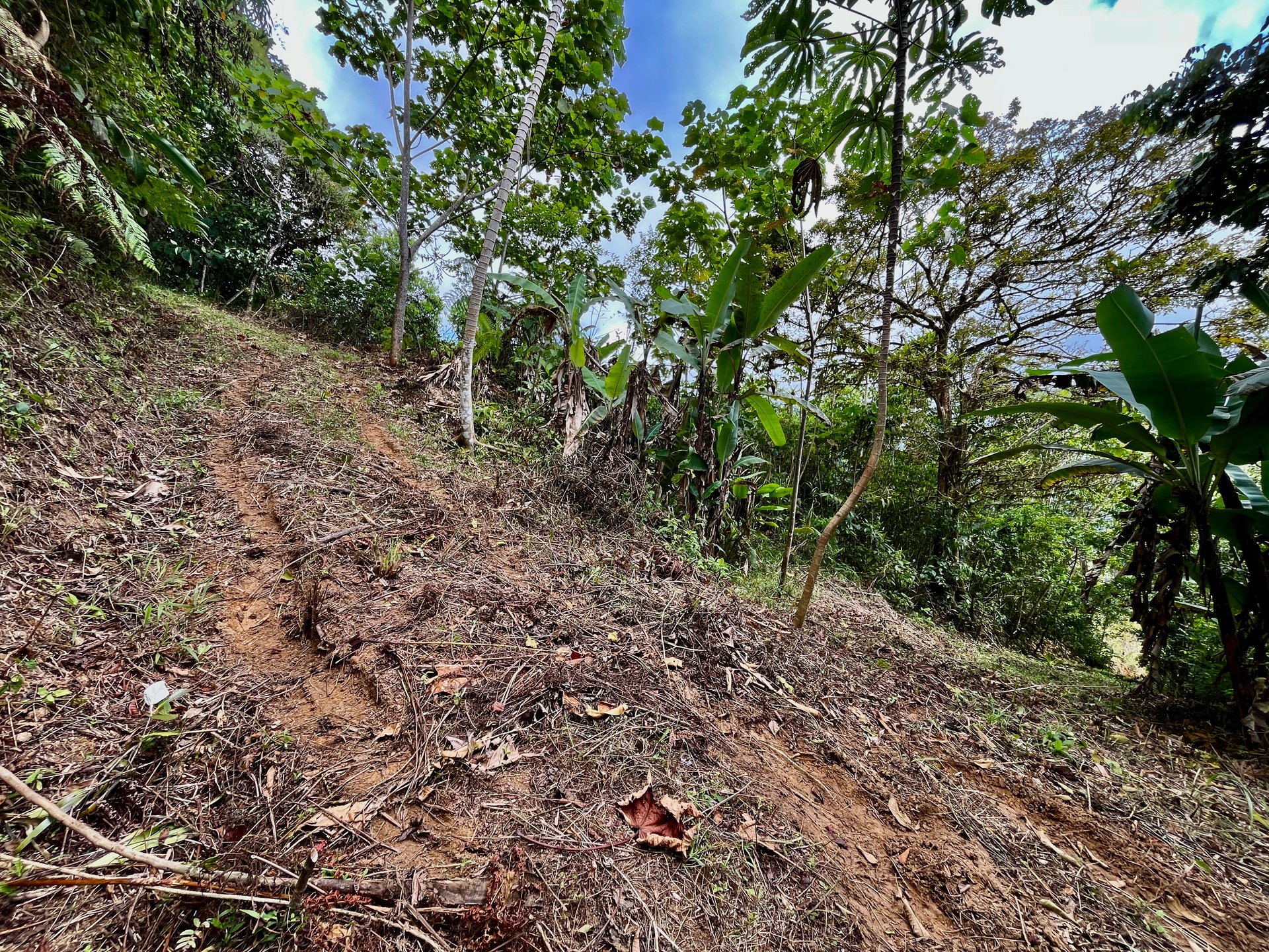 San Luis Ridgetop Ocean & Mountain View Property with Multiple Building Sites!