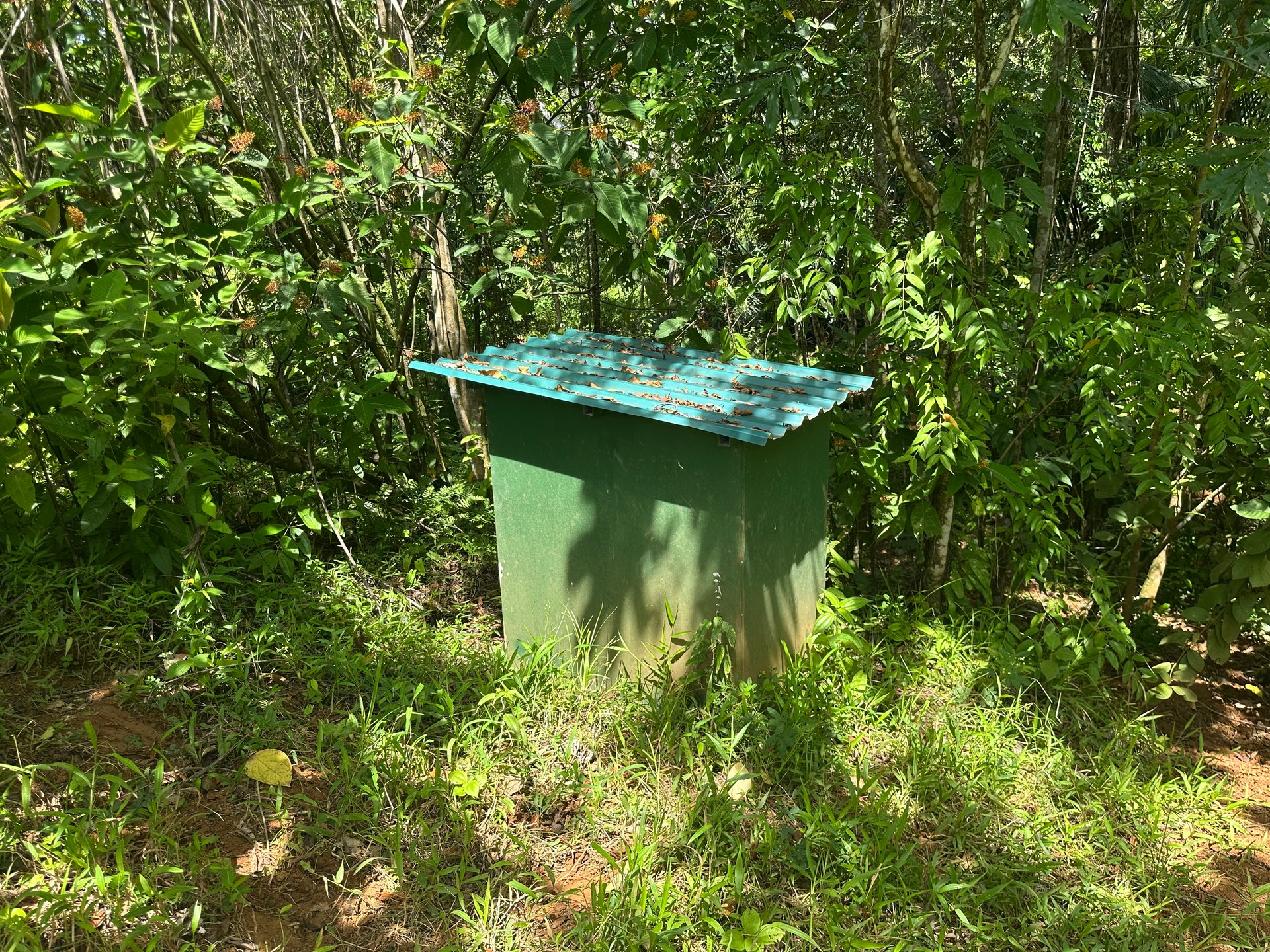8.78 Acres Mountain View Estate with Water, Infrastructure & Endless Development Potential | Platanillo de Barú, Costa Rica