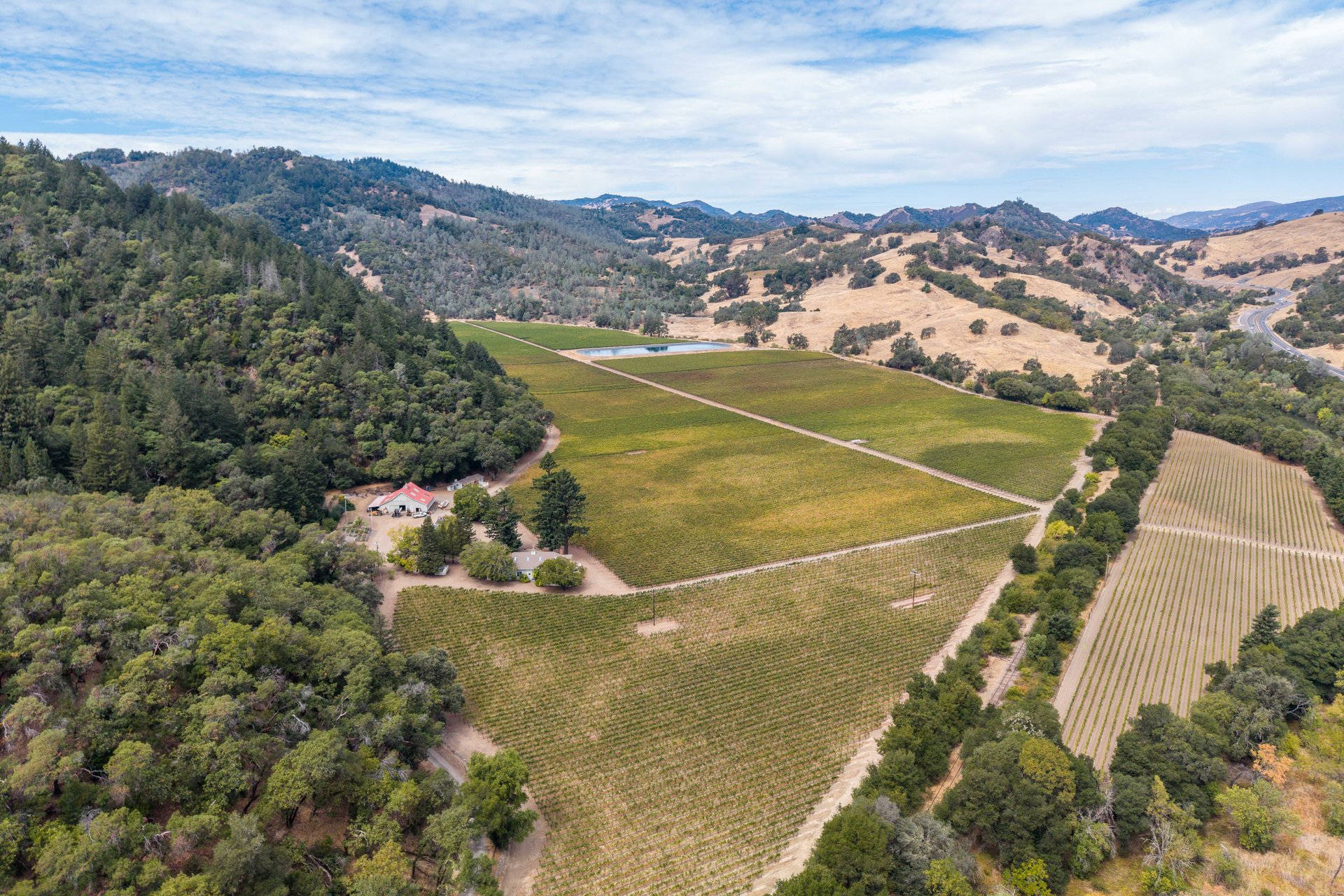 Valentine Vineyard