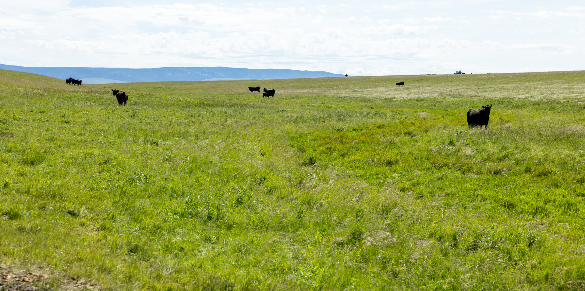 Hauck Coulee Ranch