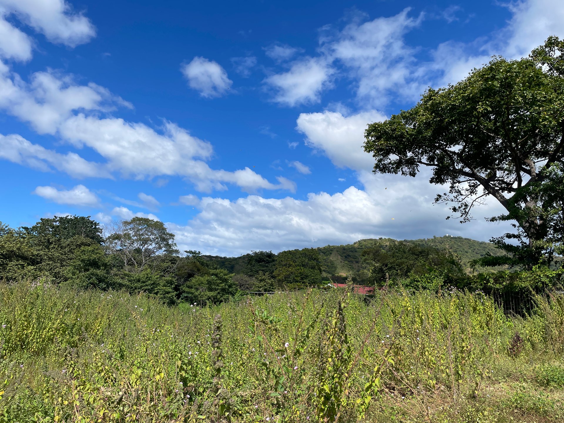 Private Jungle Estate Land in Vistas de Flamingo, Guanacaste, Costa Rica