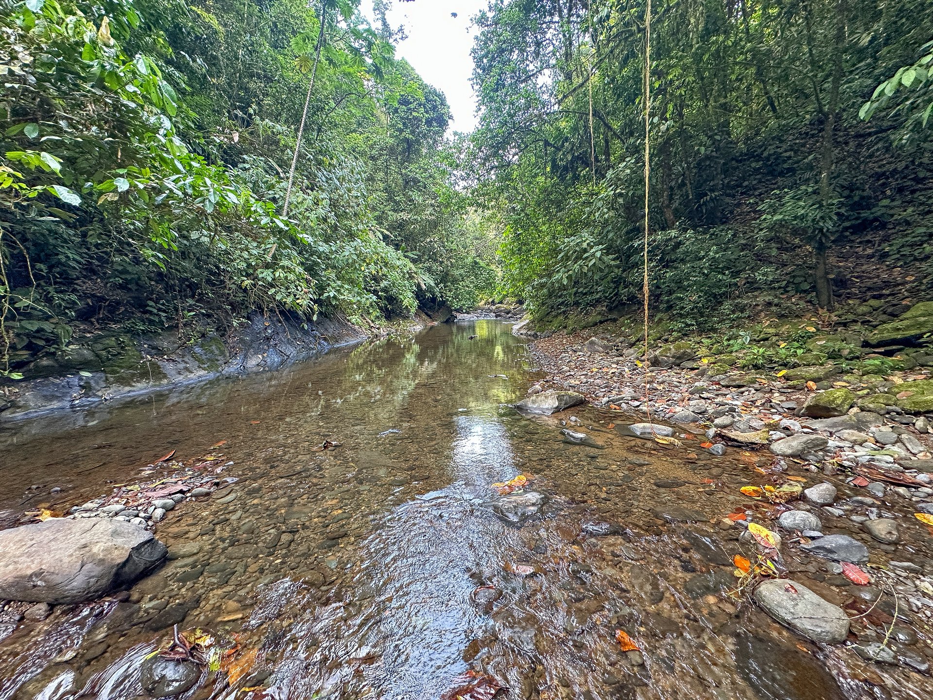 A Huge Rainforest, River & Waterfall Property With TWO Mountain & Jungle-View Luxury Homes on a Massive 4.93 Acre Lot – PLUS an Additional Plantel ready for Development