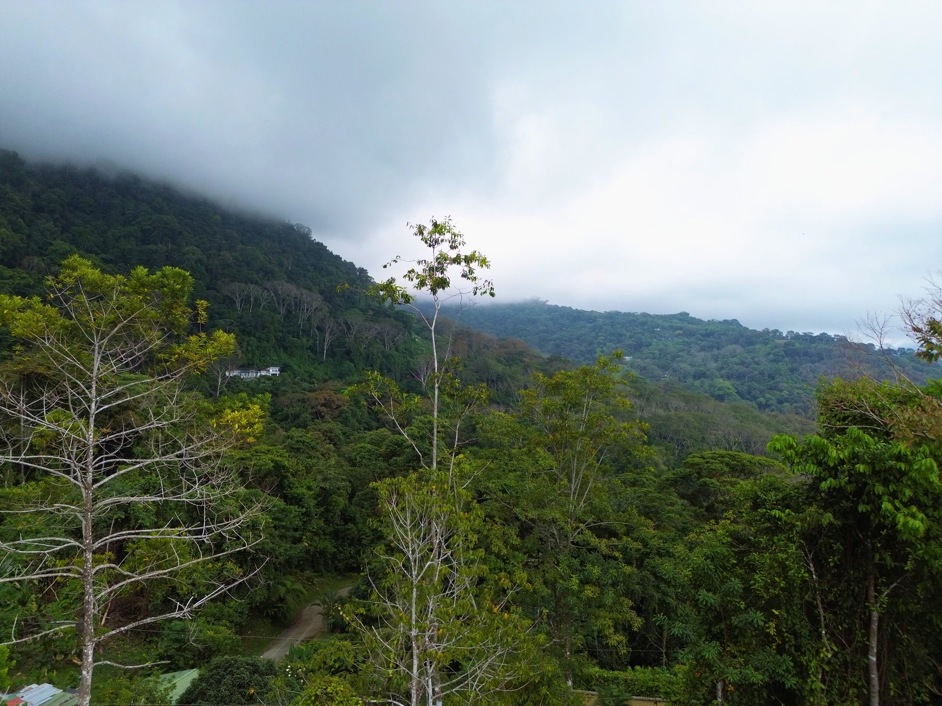 Build-Ready Ocean View Lot in Uvita Hills