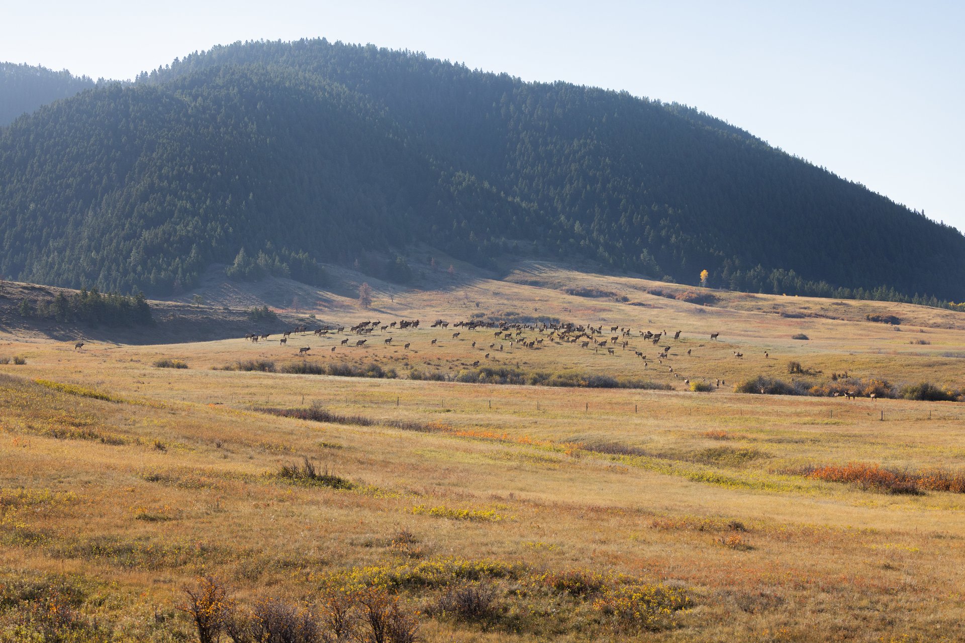 Box Elder Ranch