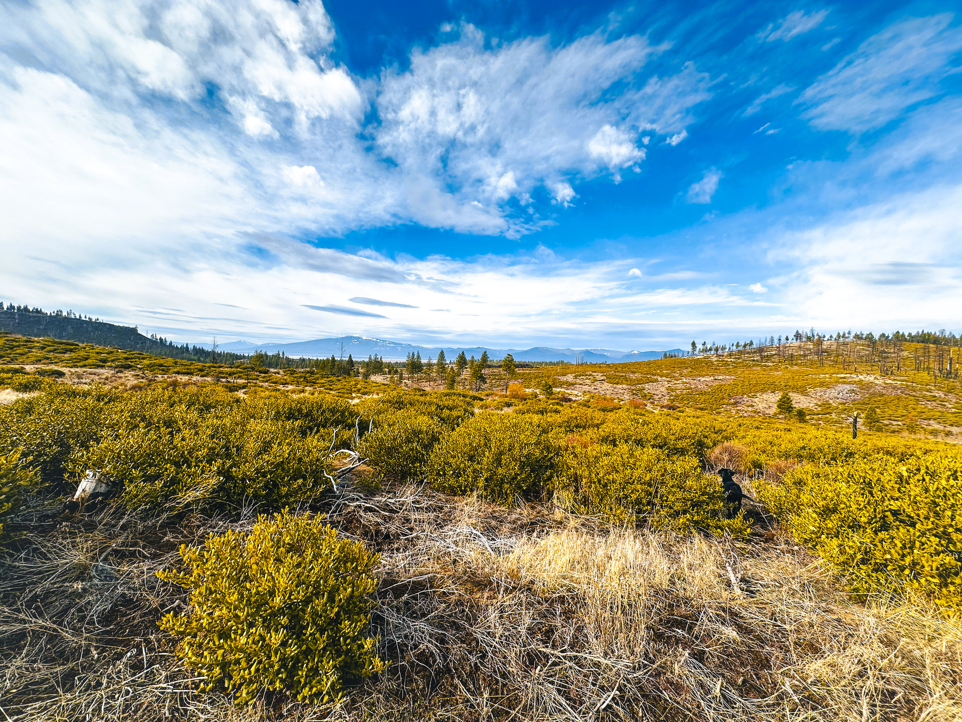 Klamath Basin