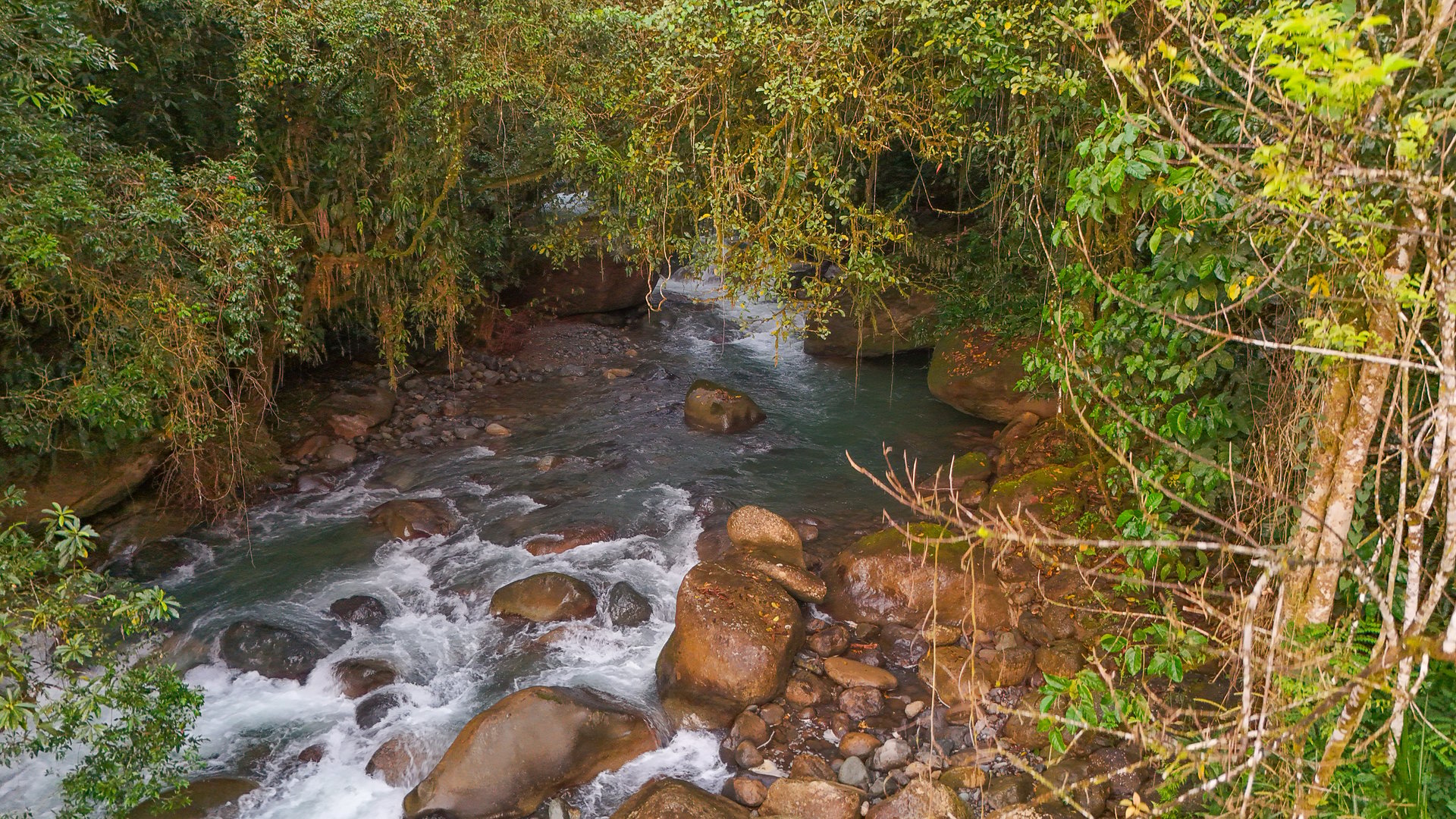 Costa Rica Mountain Retreat – 1.8 ha with Luxury Cabin, Private Lake & Riverfront