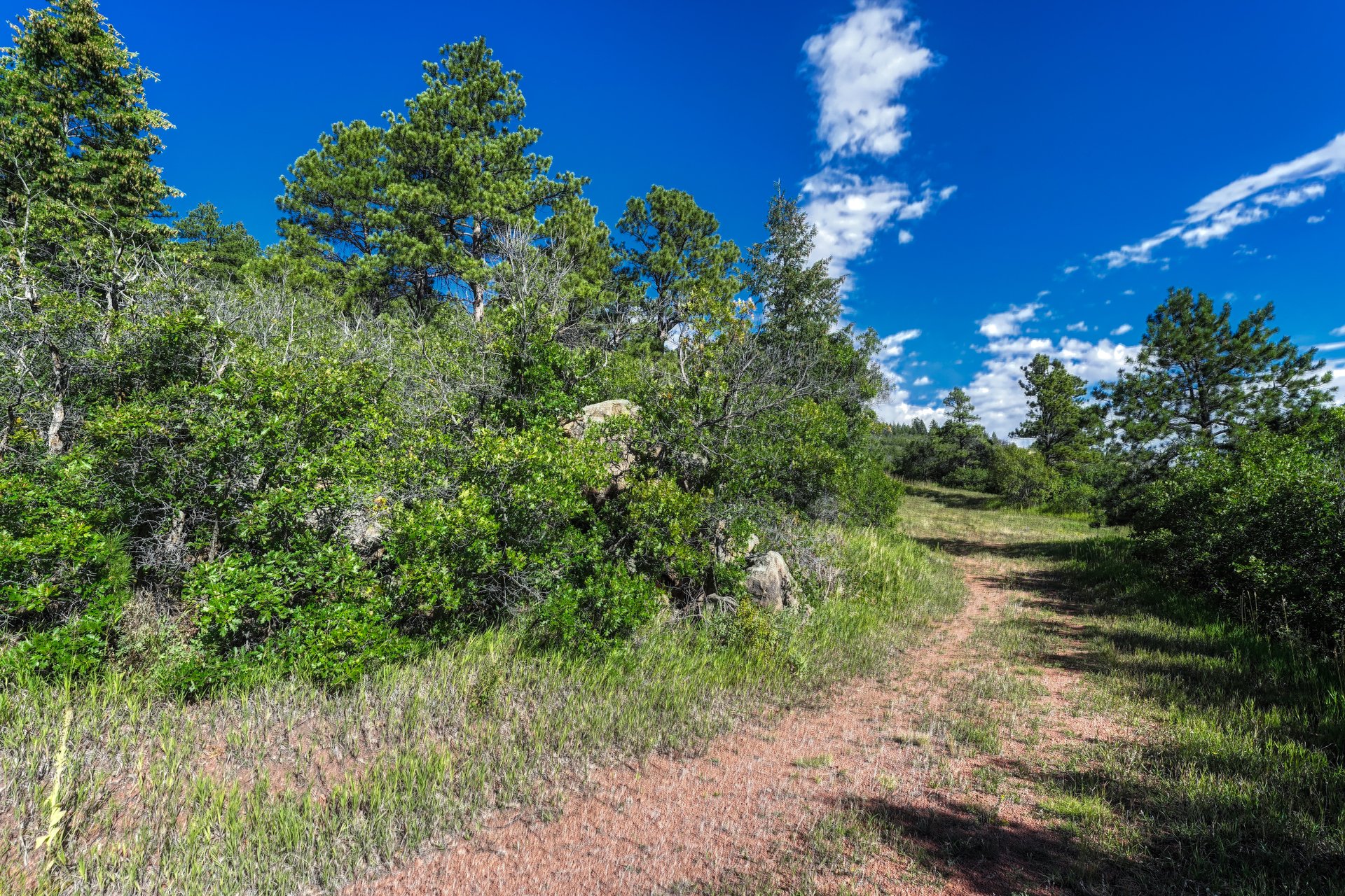 00 Columbine Road