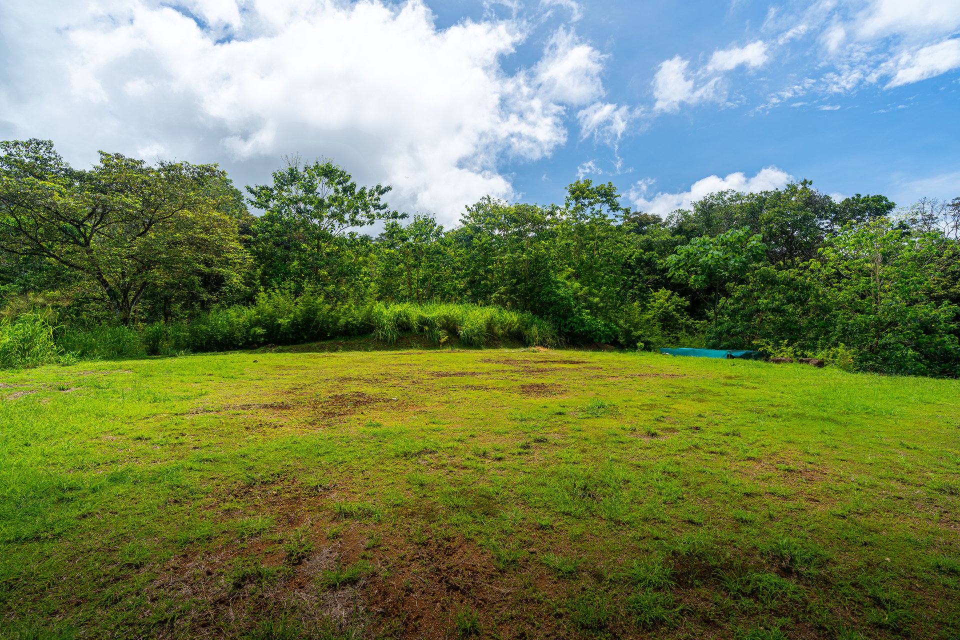 Plant Your Roots at Tierra Bendita! 2.5 Acres, River Frontage, 2 Bedroom Home, Private, Easy Access!