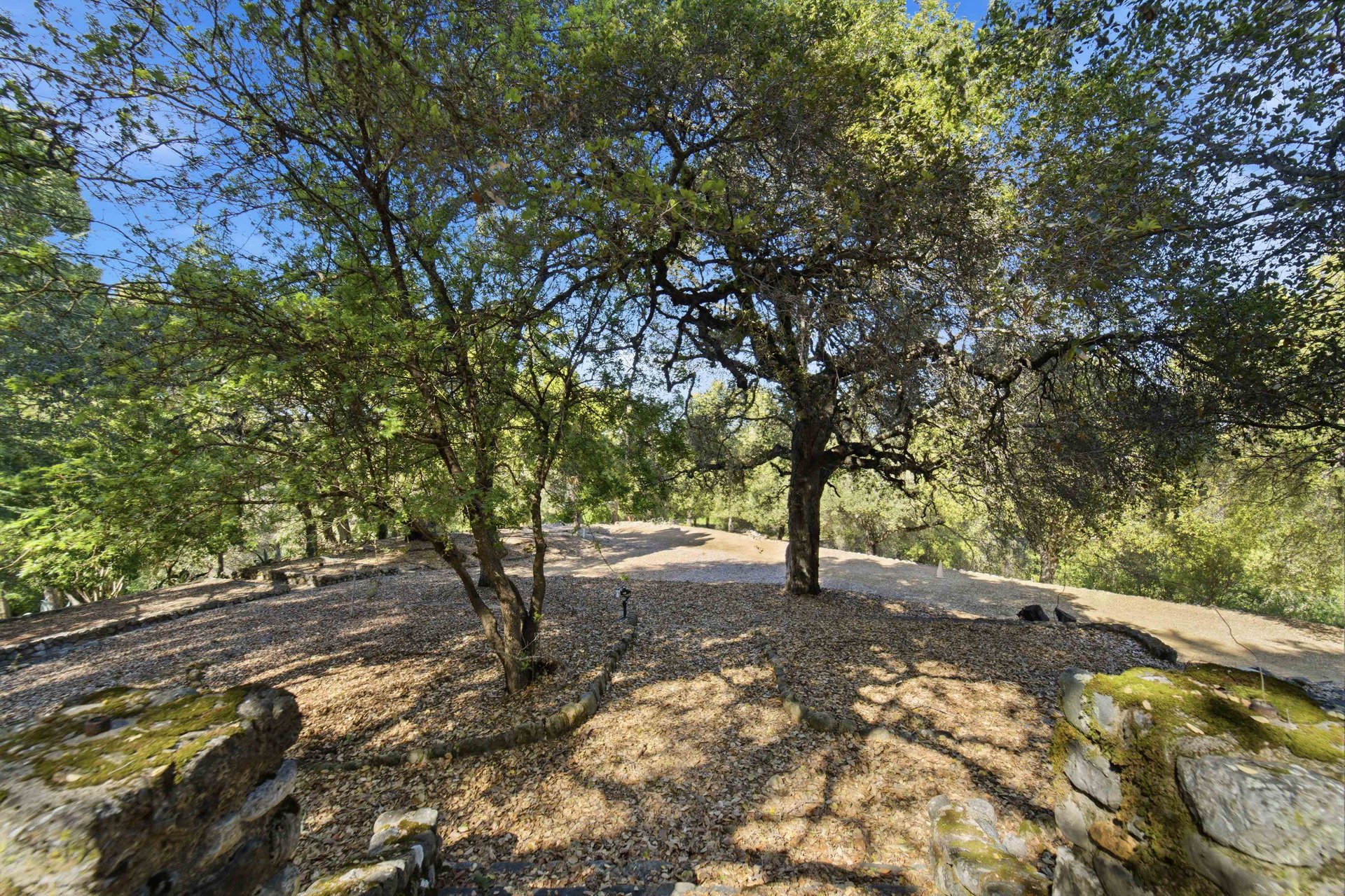 Montalvo Manor