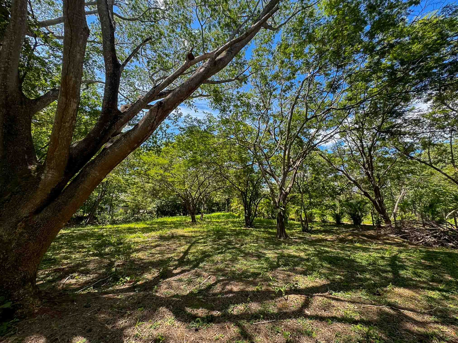 Acreage Estate Lot | 7,128 m² Buildable Property Near Playa Avellanas