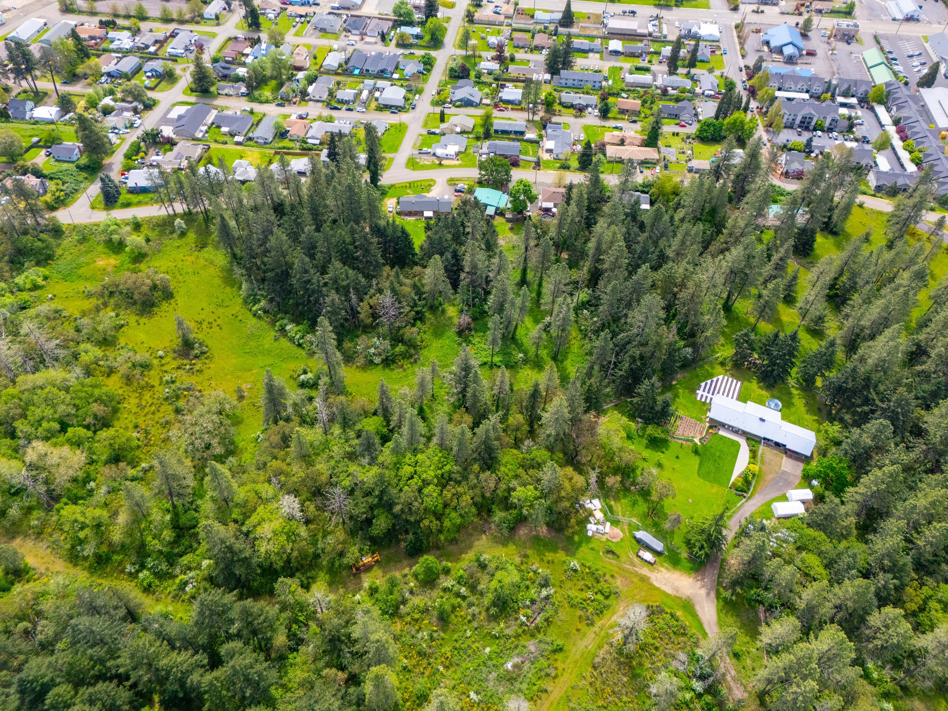 SUTHERLIN WOODLOTS