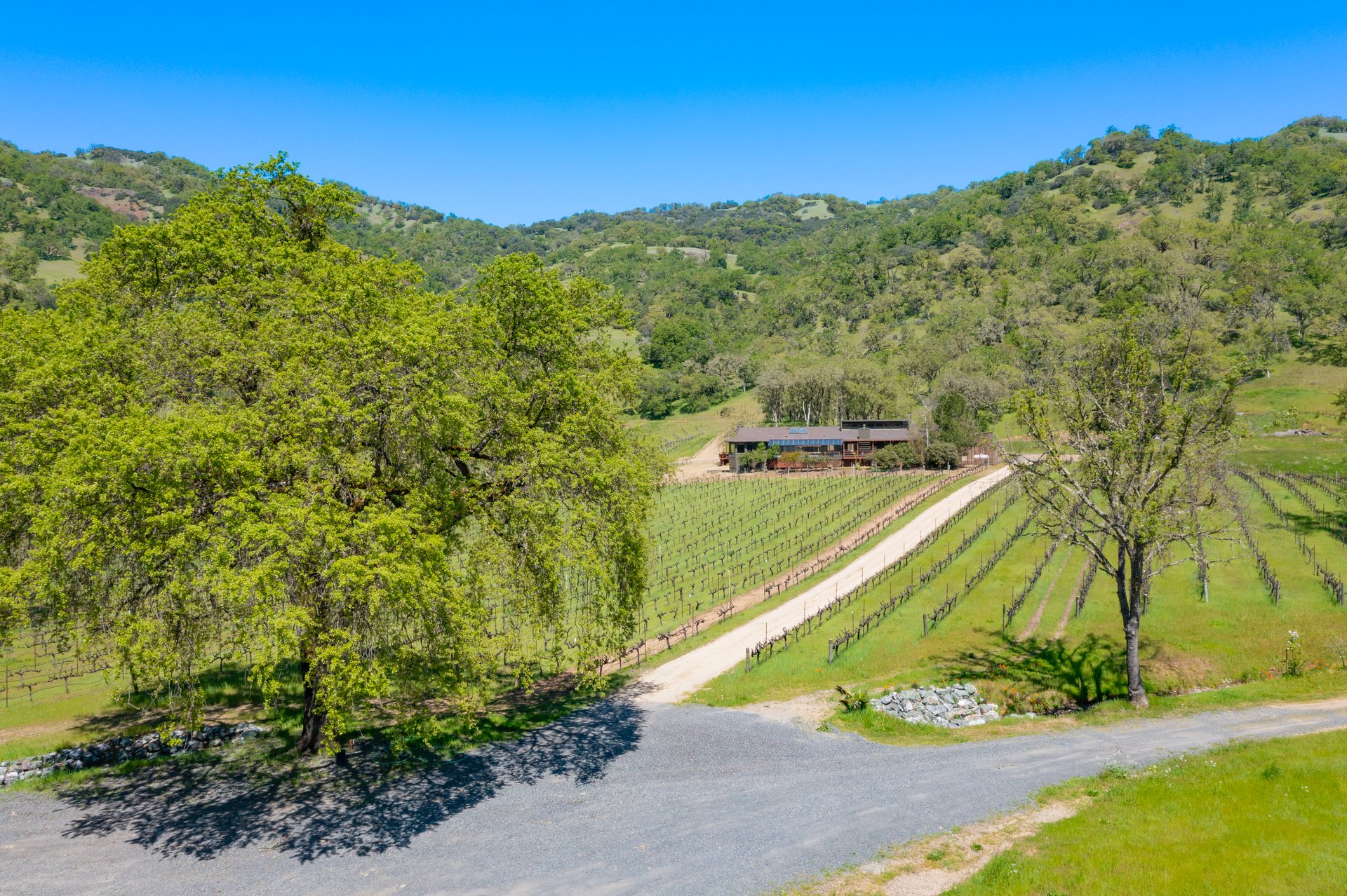 Open Hand Ranch 