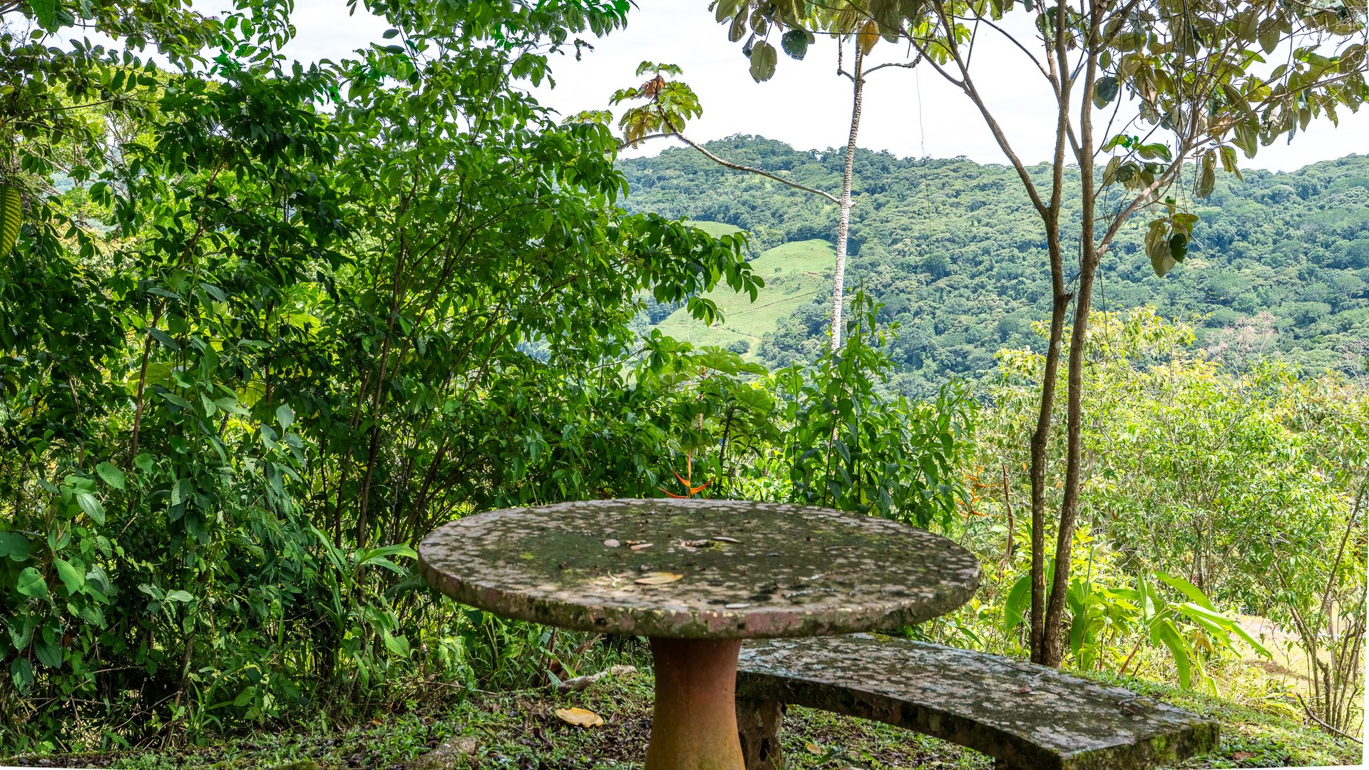 Mountain Home with Guest Cabin & Additional Building Site Near Nauyaca Waterfalls