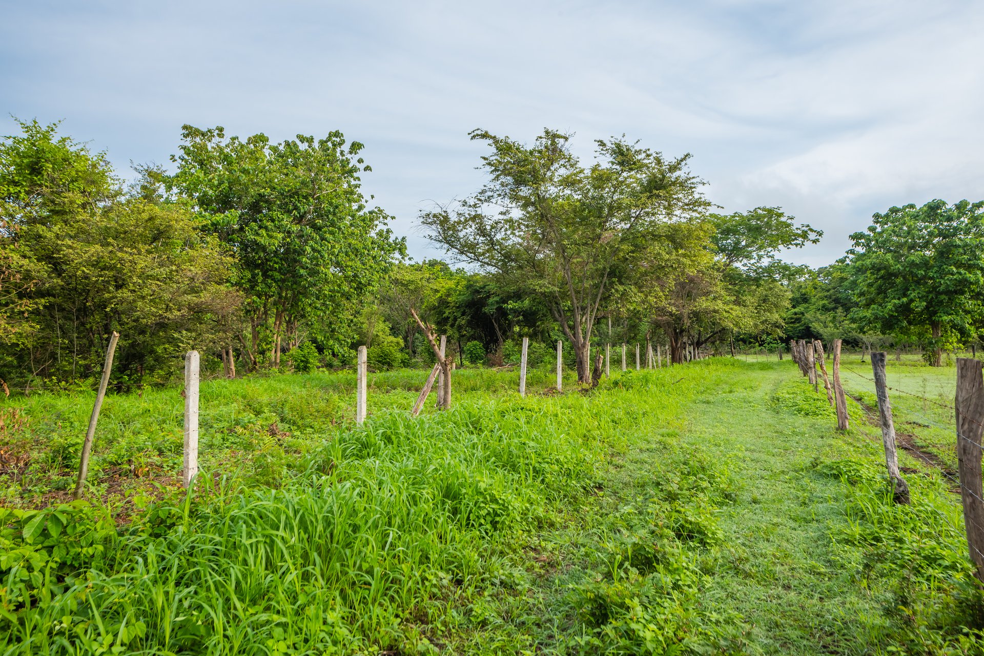 La Garita de Tamarindo Lot | 1.3-Acre Home Site Near Top Beaches, Private, Scenic, and Well-Located