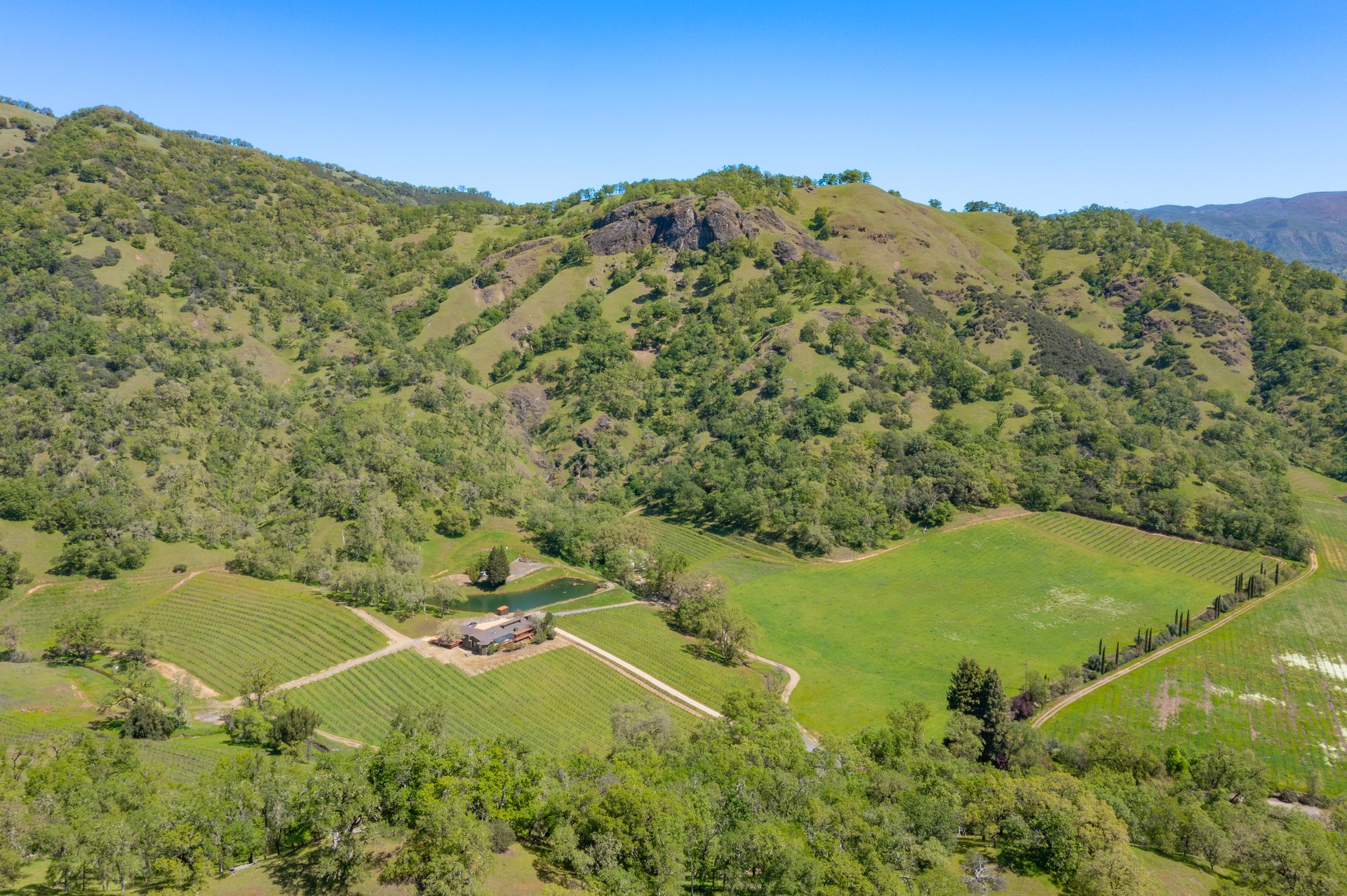 Open Hand Ranch 