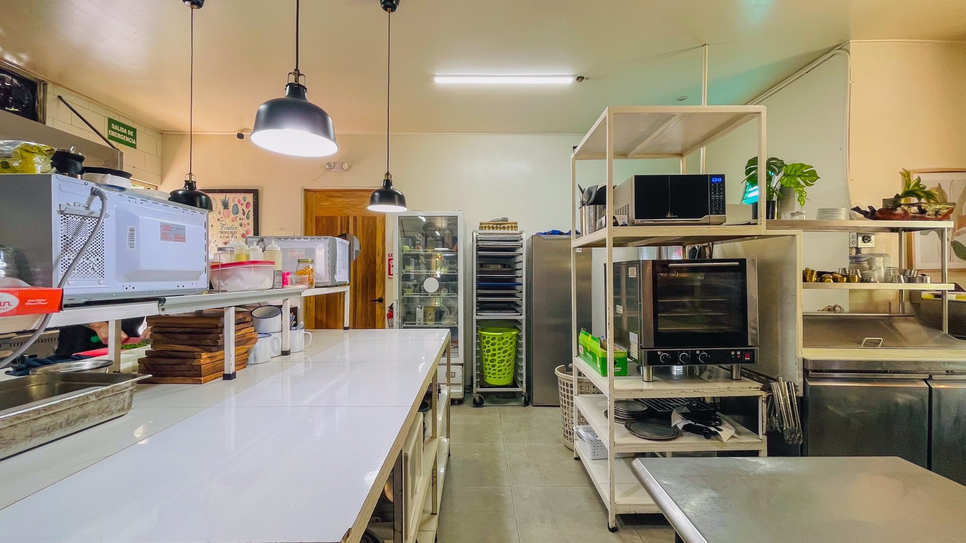 Restaurant for Sale in Ojochal, Costa Rica | Citrus Culinary Legacy & Business Opportunity