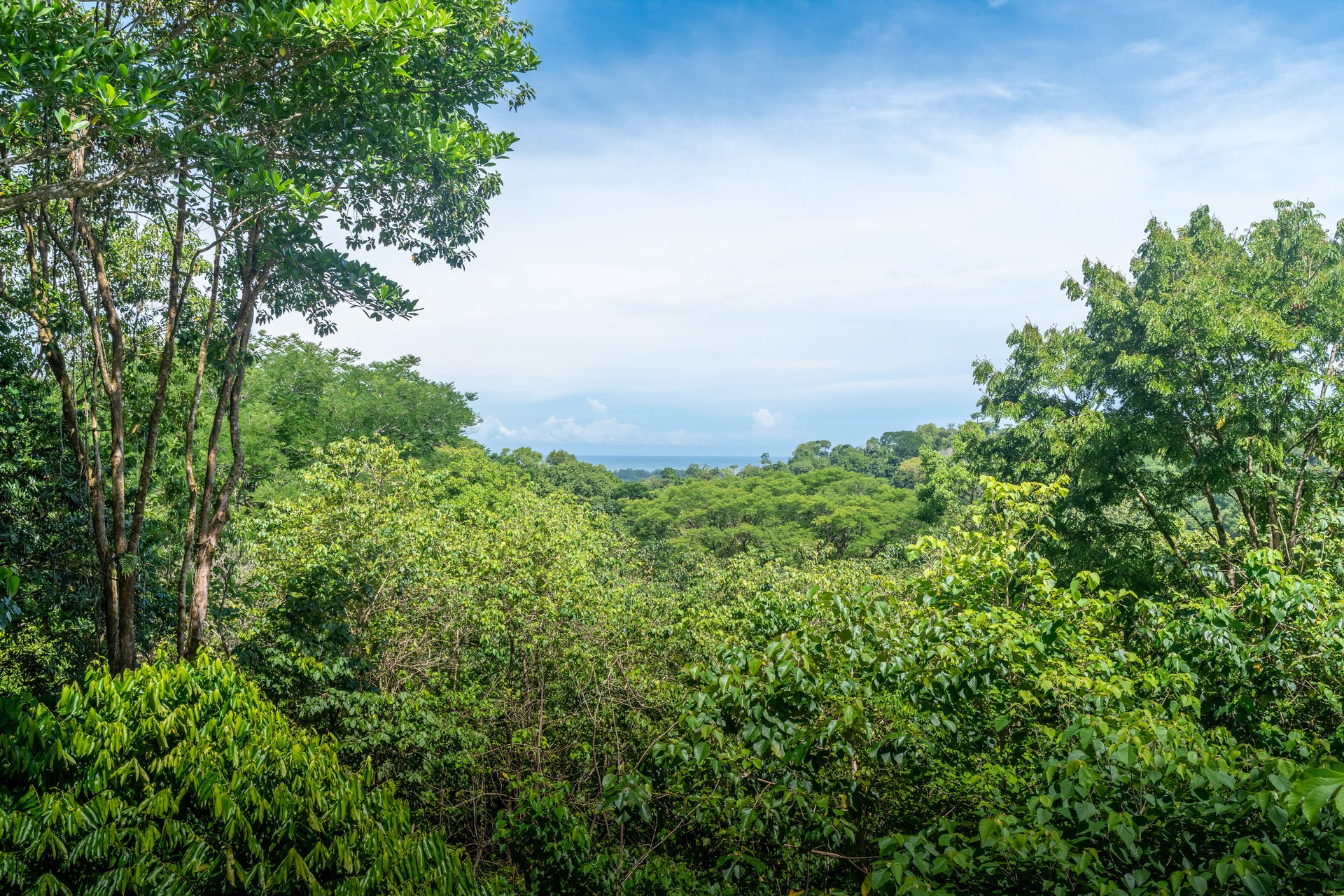 Prime Las Brisas Property with Ocean View, New Home & Room to Build 