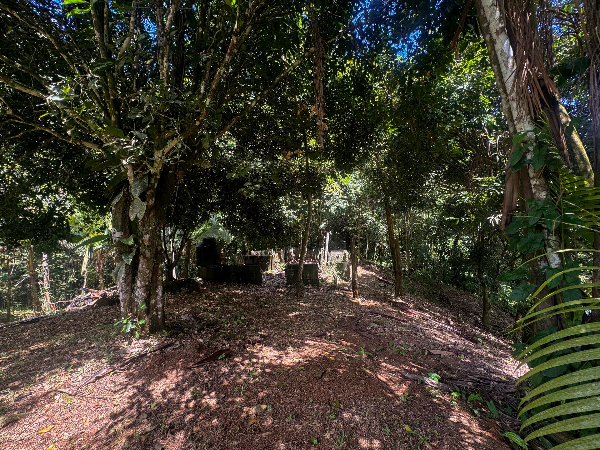 1.2- ACRE Mountain View Property with creek in  La Union Road, Uvita
