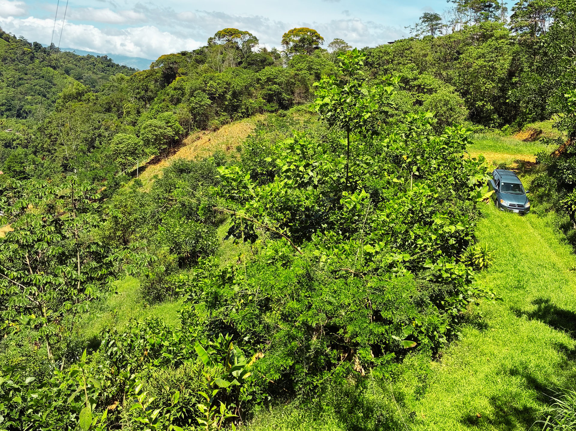 Breathtaking Mountain View Estate in Chimirol, Pérez Zeledón — 1.4 Hectares of Privacy, Nature & Potential