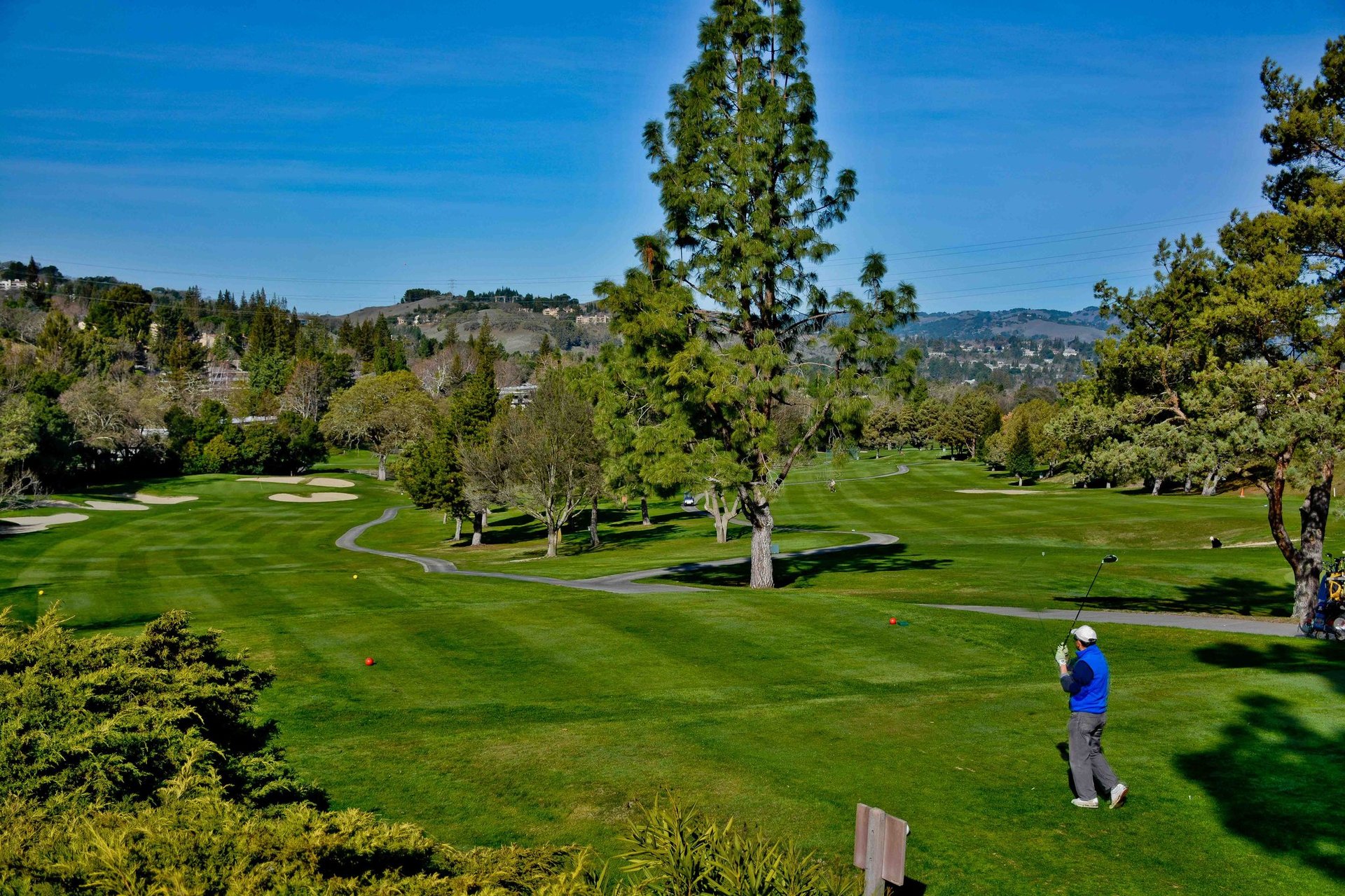1332 Running Springs Rd. #2, Walnut Creek
